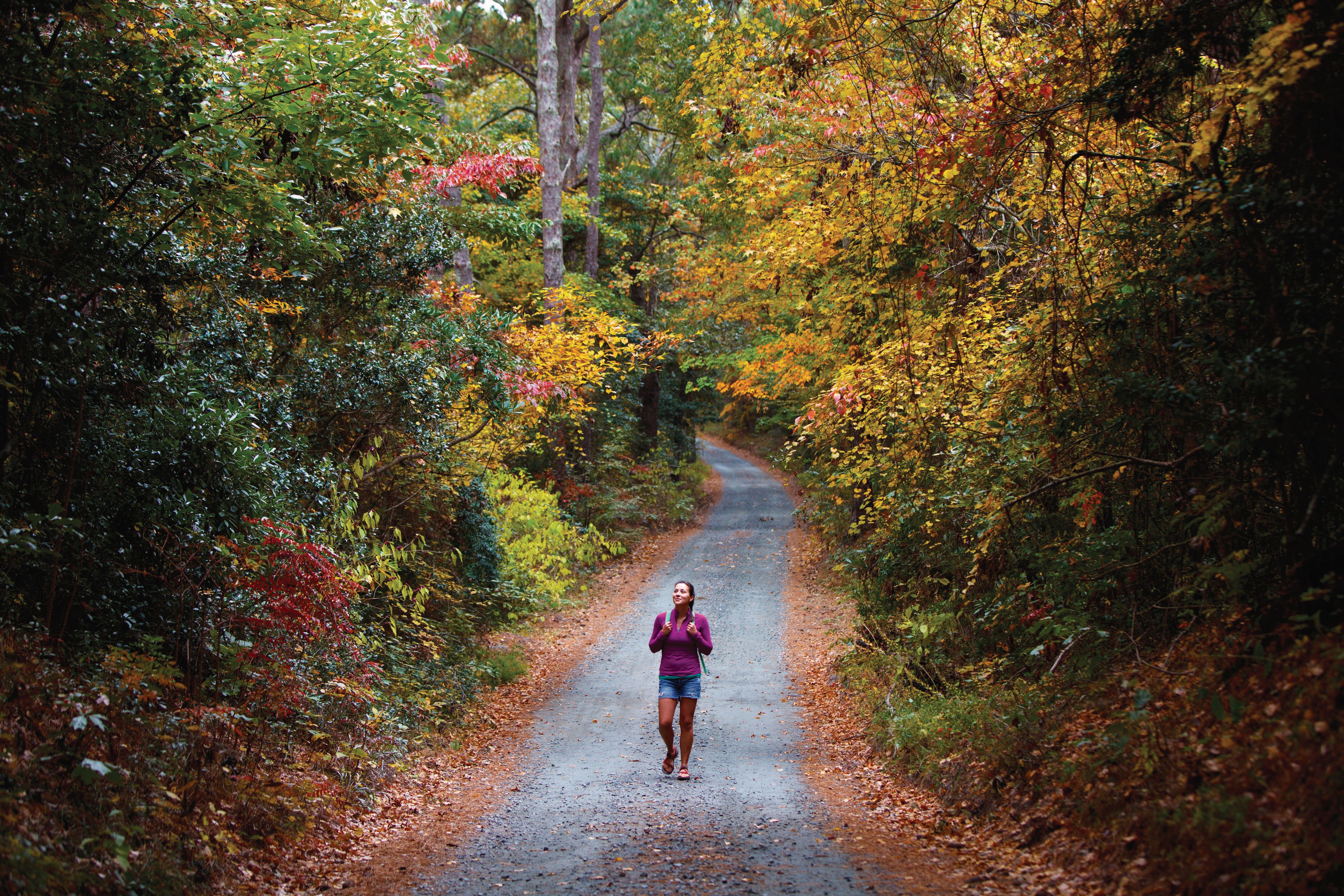A person walks on a paved trail surrounded by colorful trees.