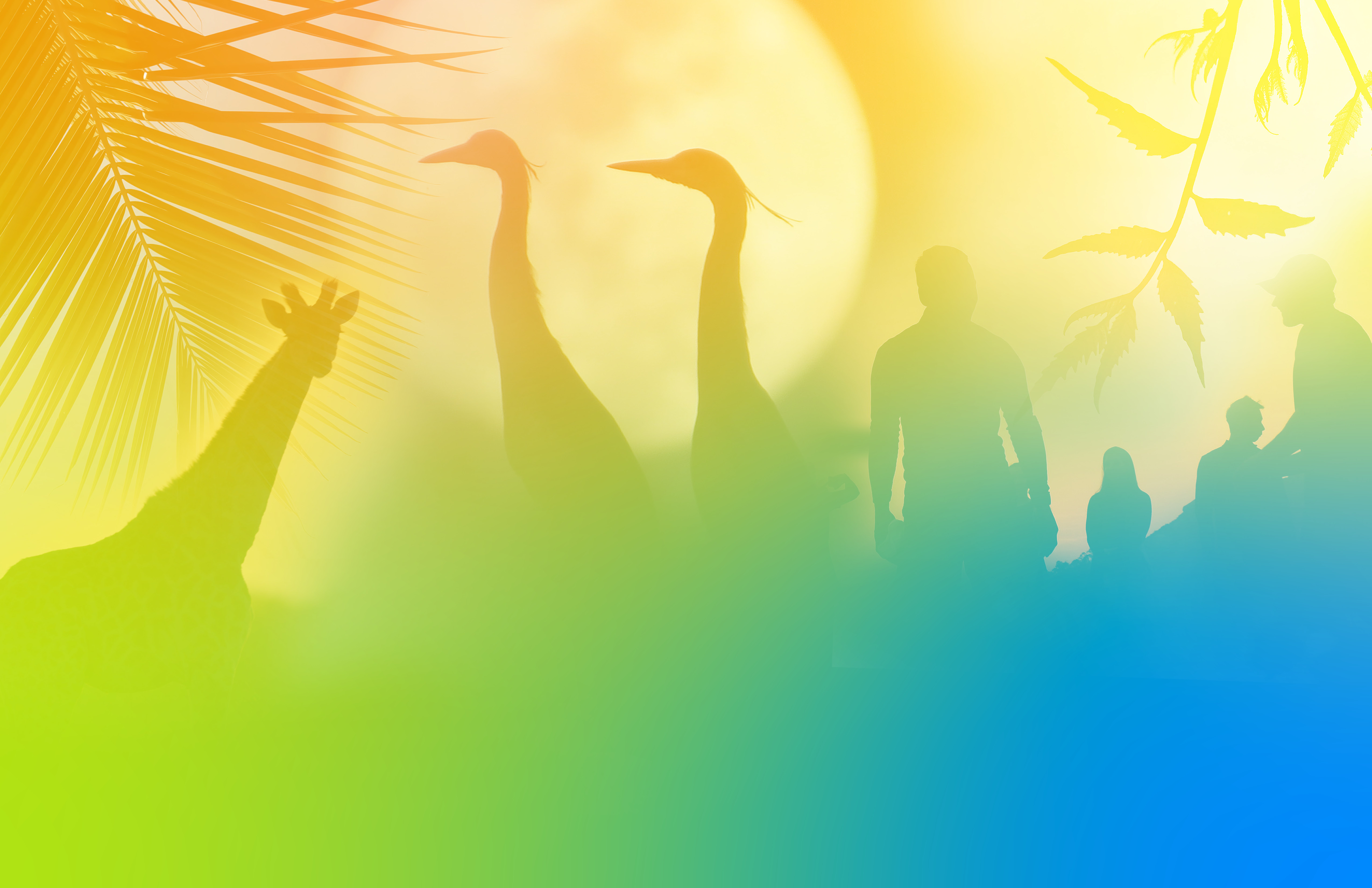 Graphic illustration of various animals representing biodiversity.