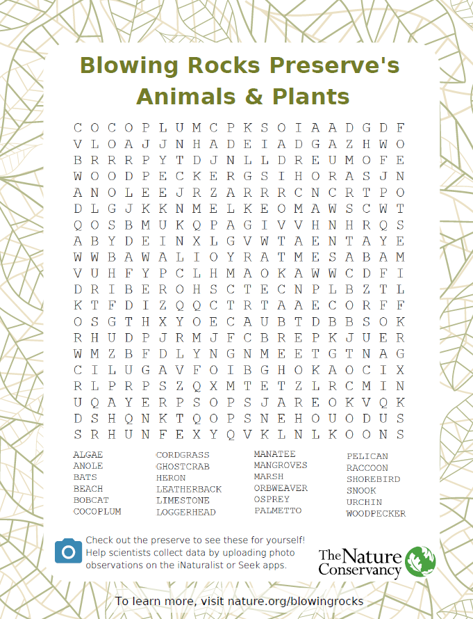 Blowing Rocks word search for different animals, plants, and habitats.