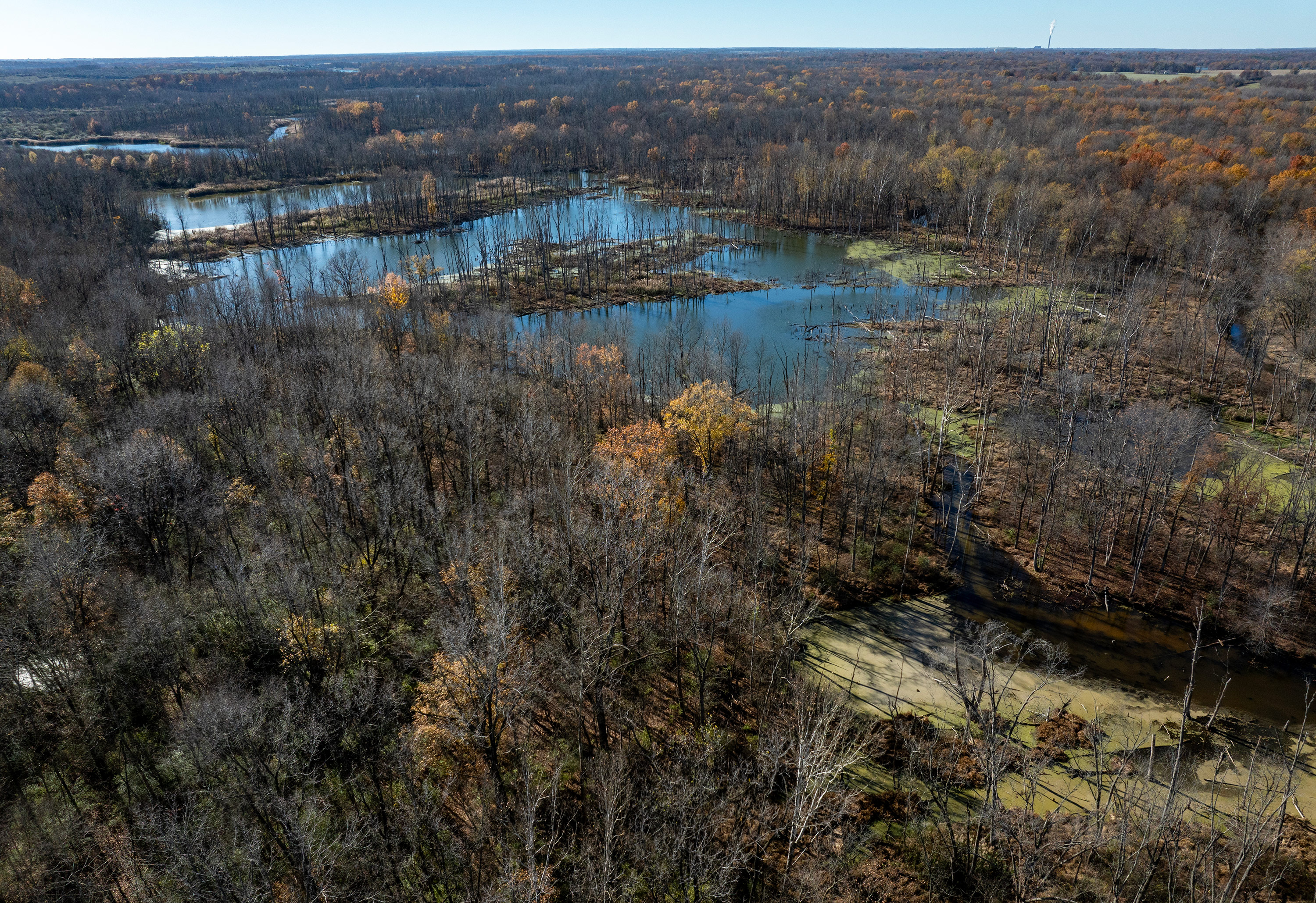 An aerial view of Busseron Creek in the midst of a sparse forest.