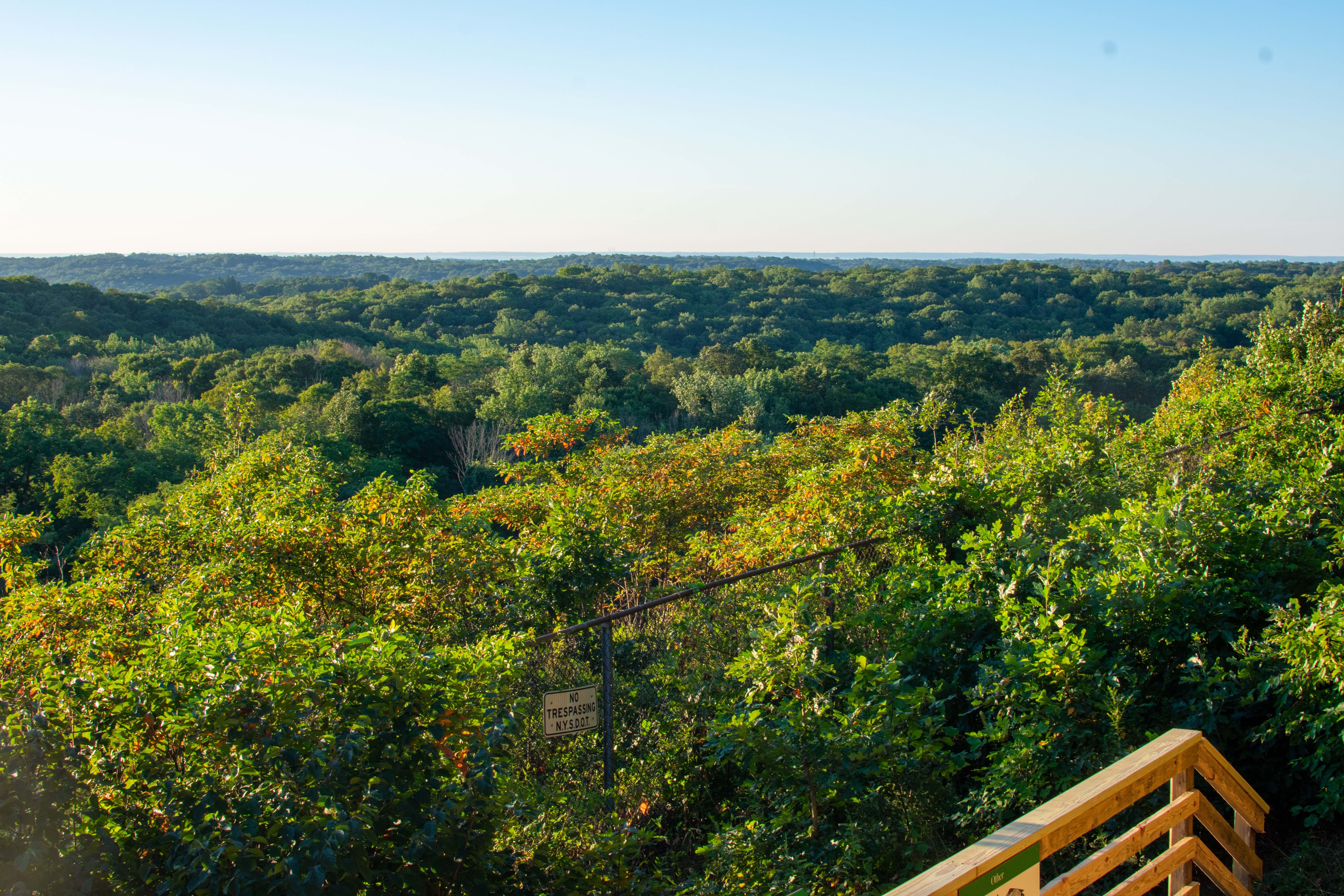 A wooden outlook features a forested mountain valley.