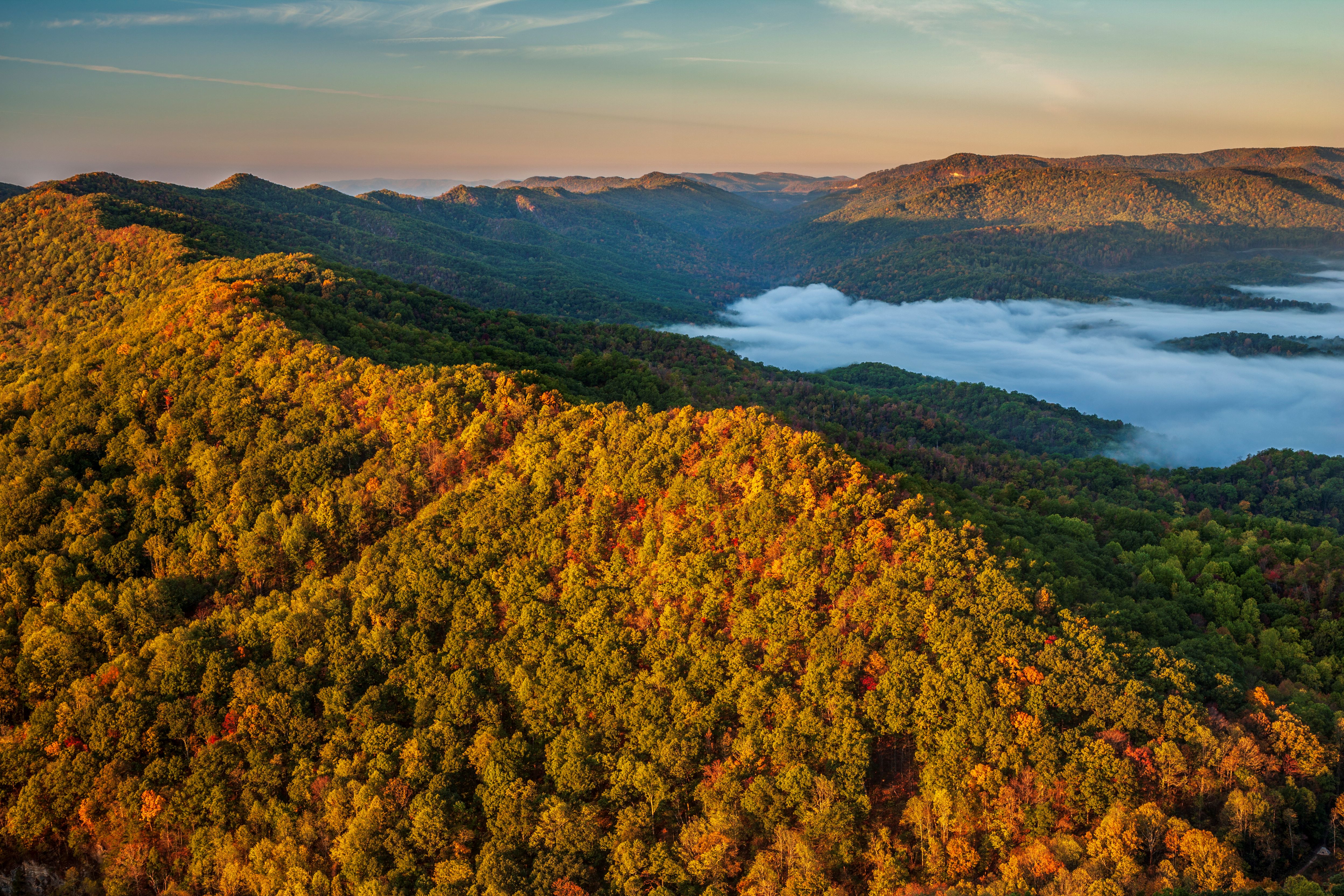 an aerial view of forested mountains with fall color.