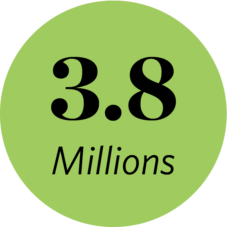 3.8 MILLIONS