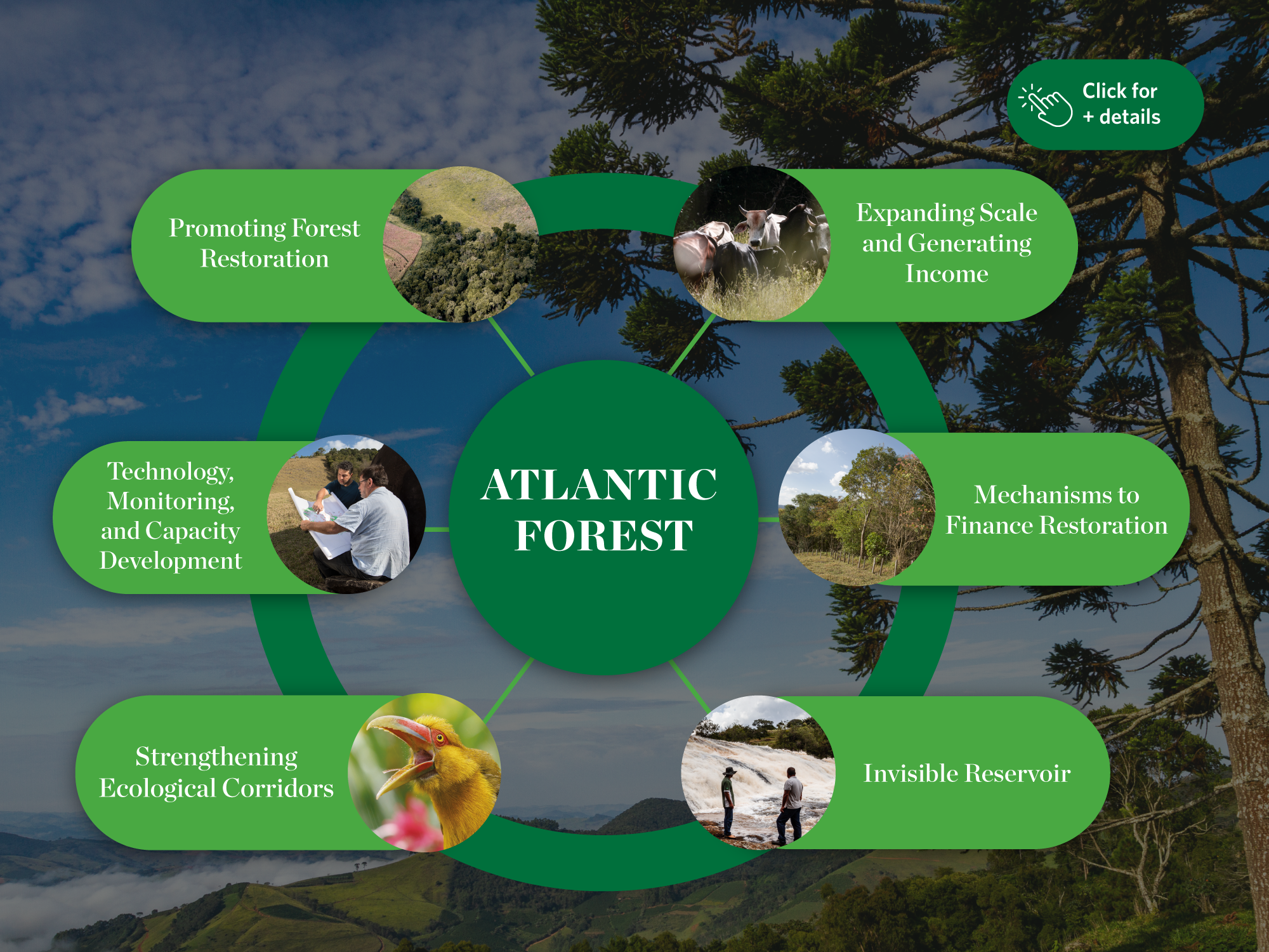 an isometric perspective view of a landscape with hills, a farm, river, ocean, and town with people and a market and bank.