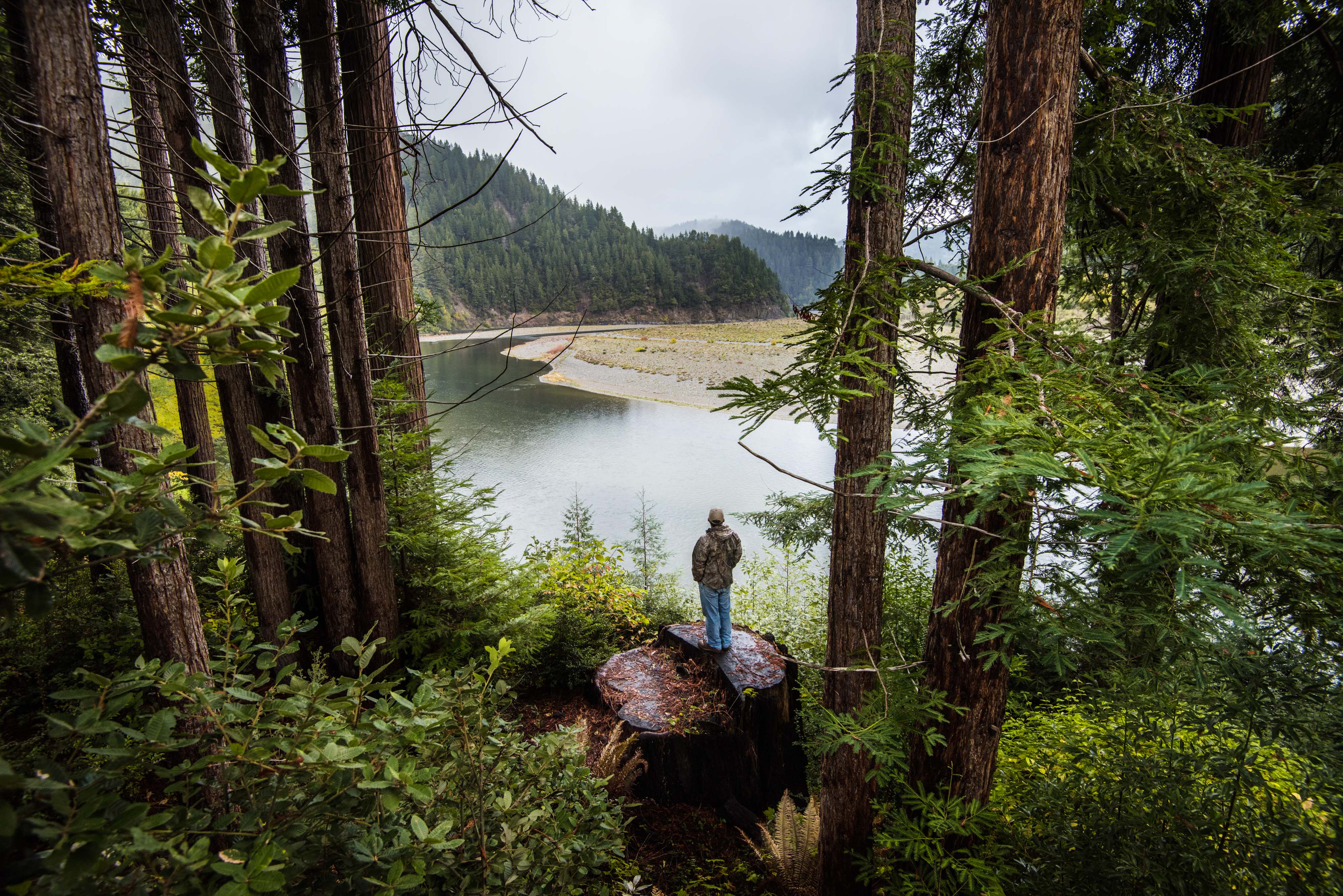A man stands on a boulder framed by tall evergreen trees, looking out over a river.