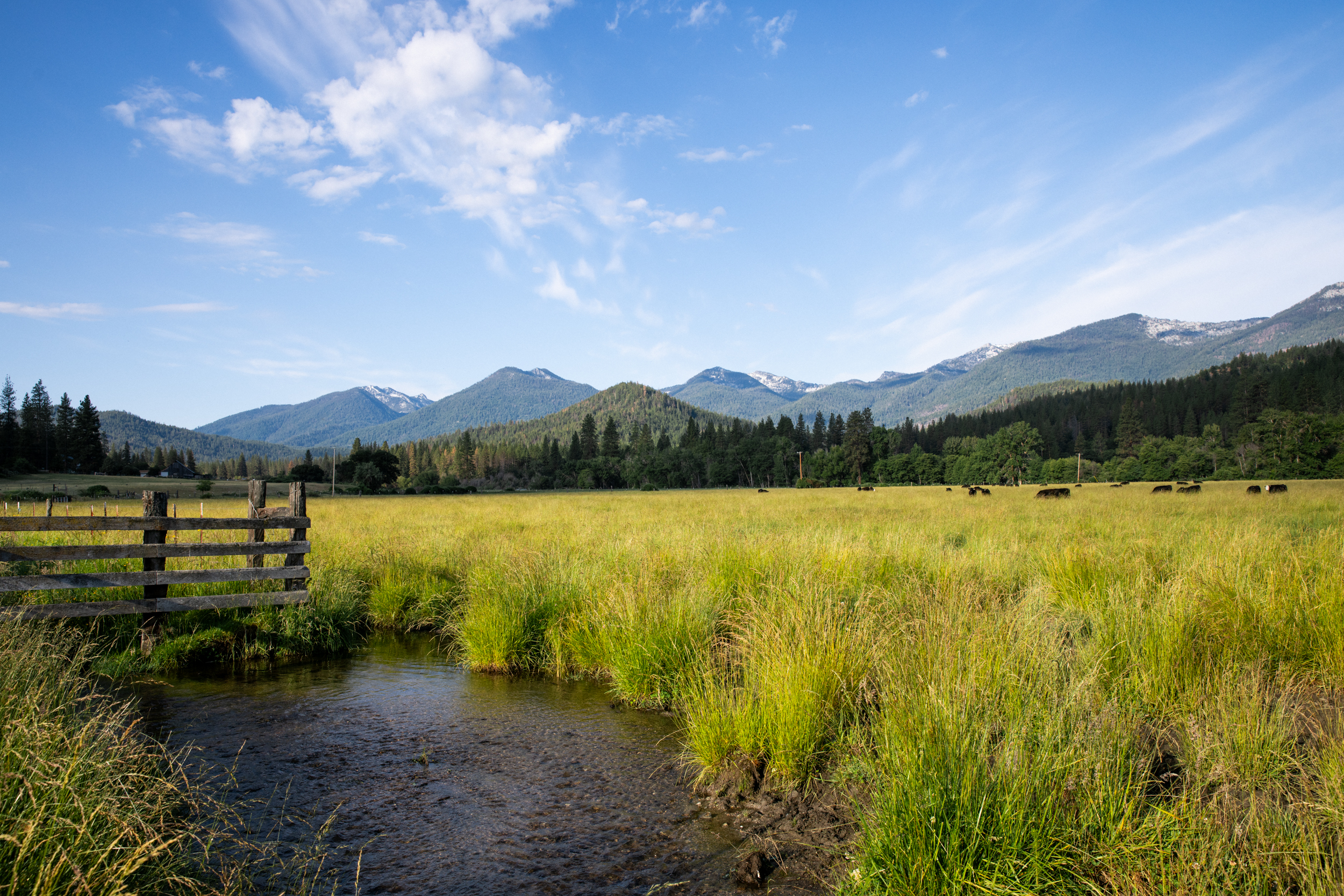 A creek and fence on Miners Creek Ranch. 