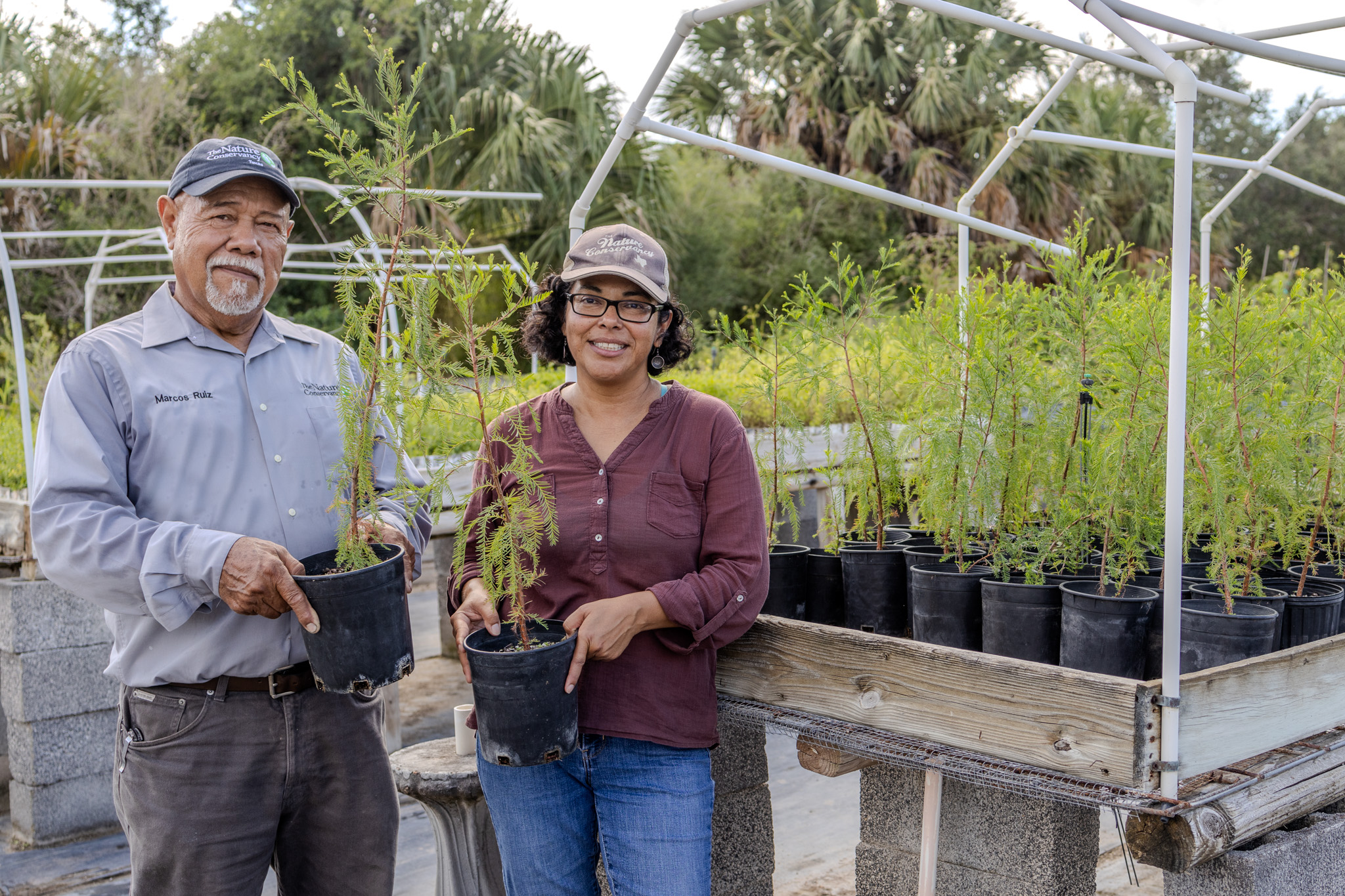 A man and a woman stand holding green seedlings.