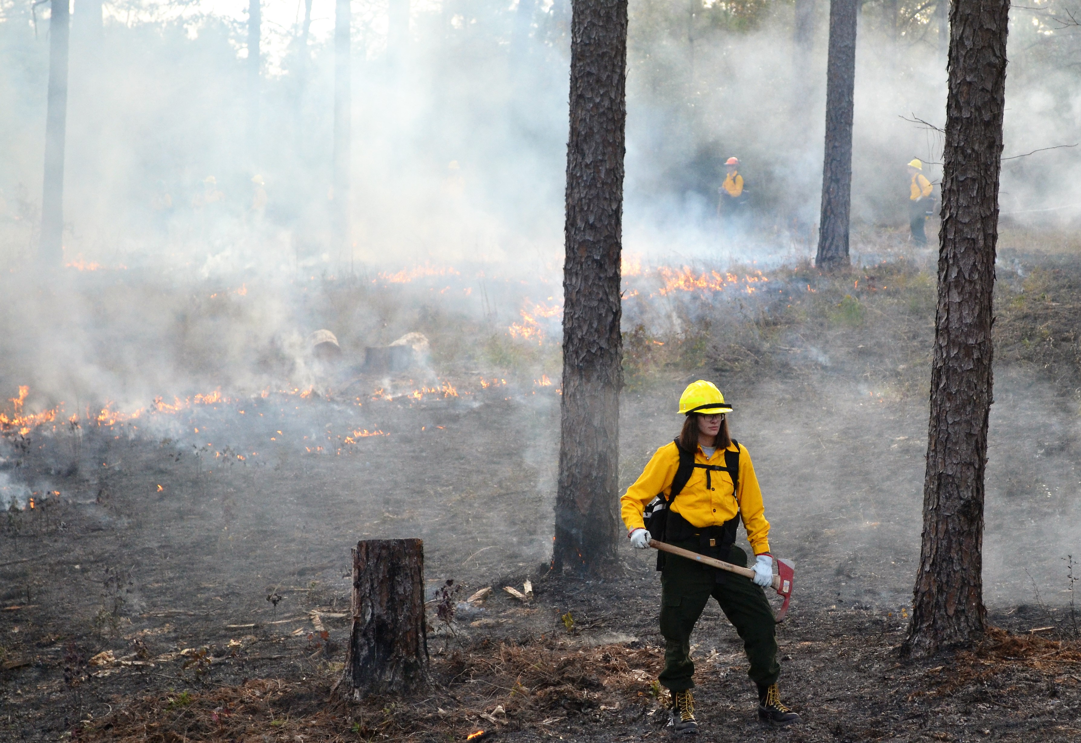 A person wearing yello fire gear stands in front of a burning forest. 
