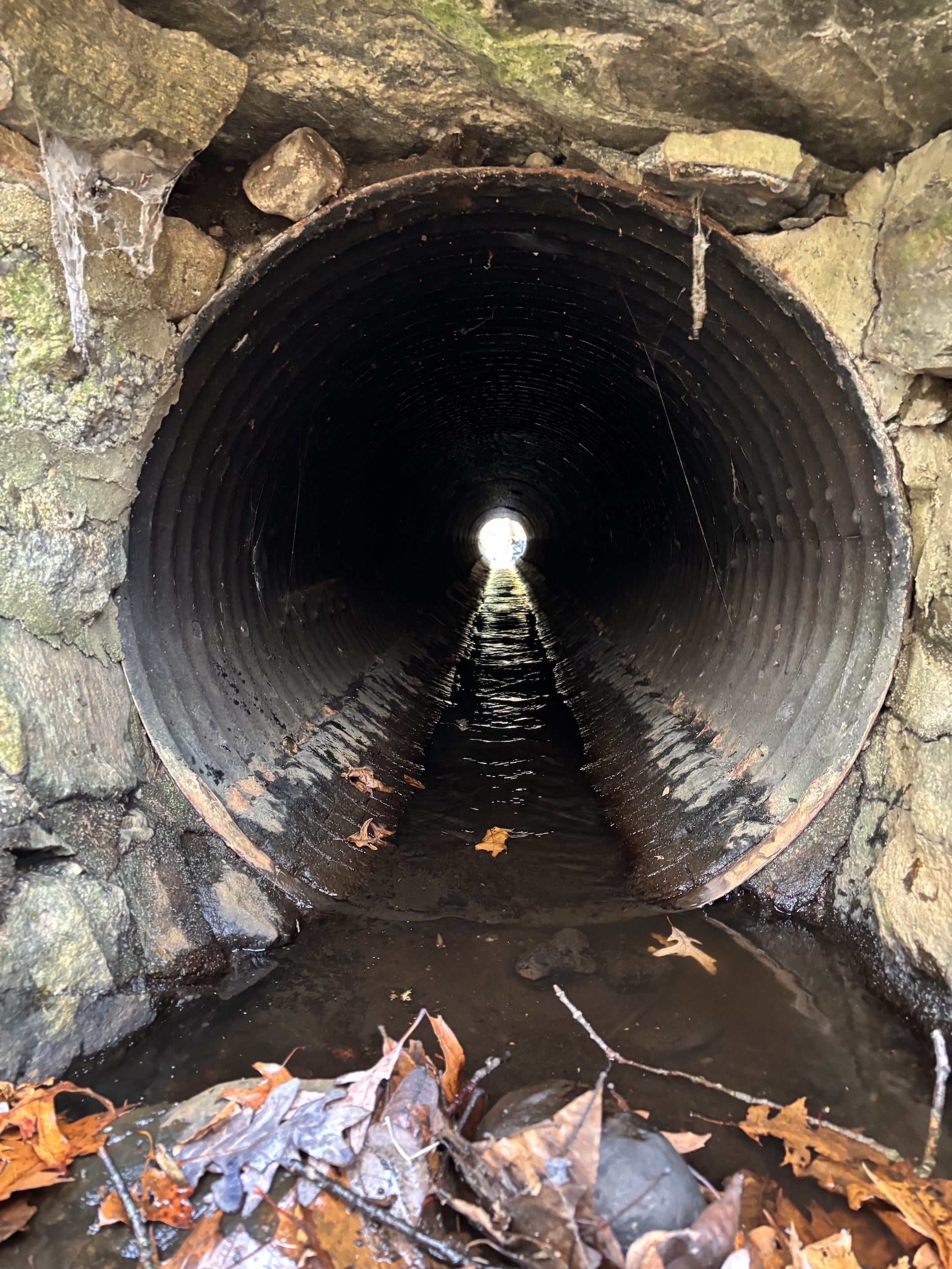 A view into a dark, round tunnel with light visible at the far end, surrounded by rocks and a few scattered autumn leaves at the entrance.