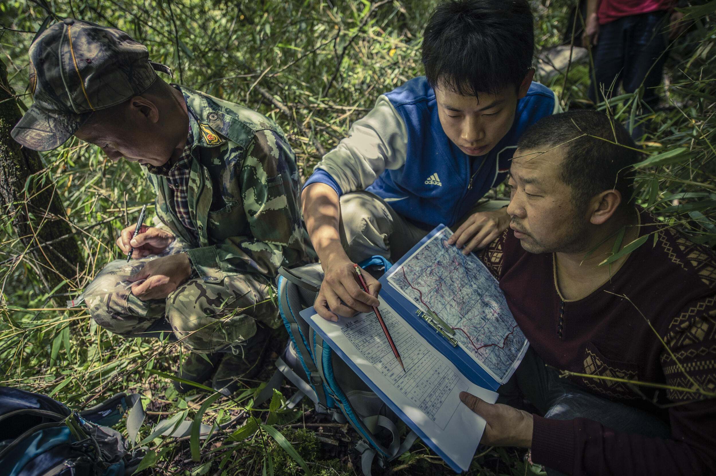 forest managers look at a map in china.