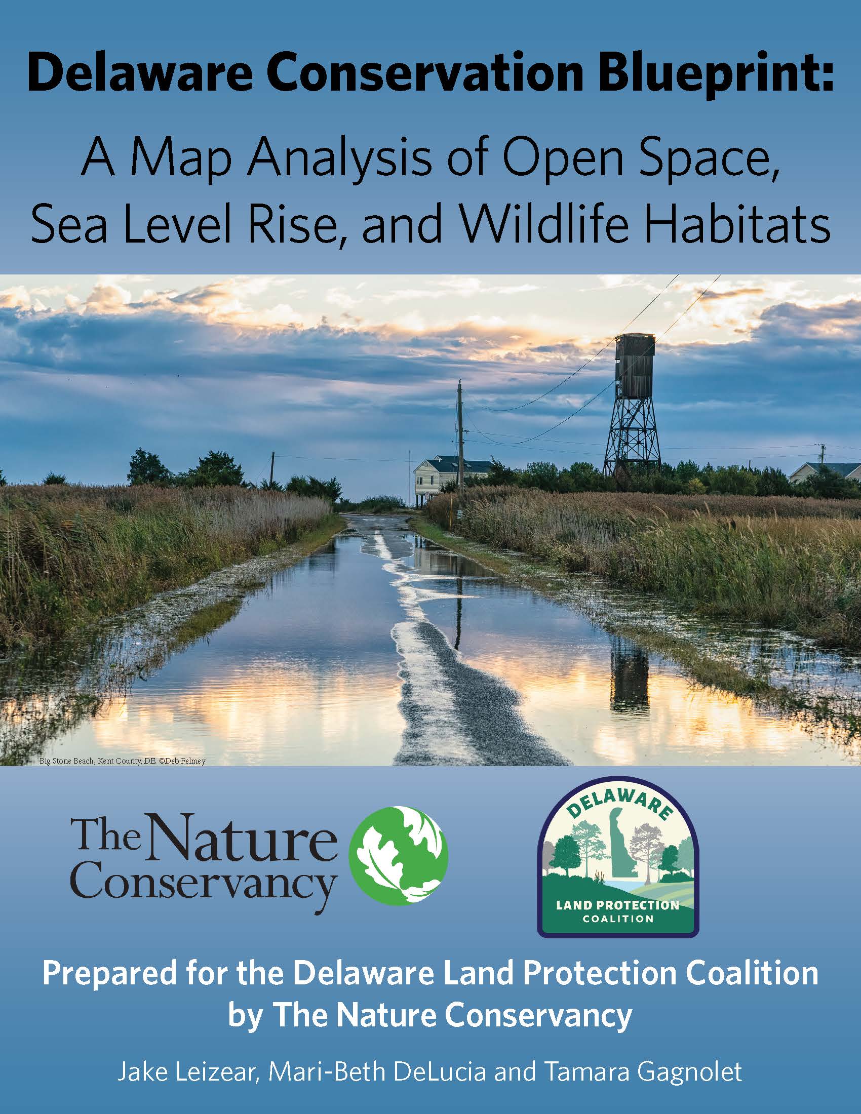 The cover of the conservation blueprint.