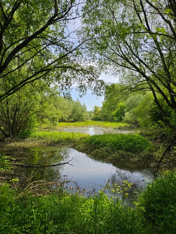 Drava foodplain in Croatia