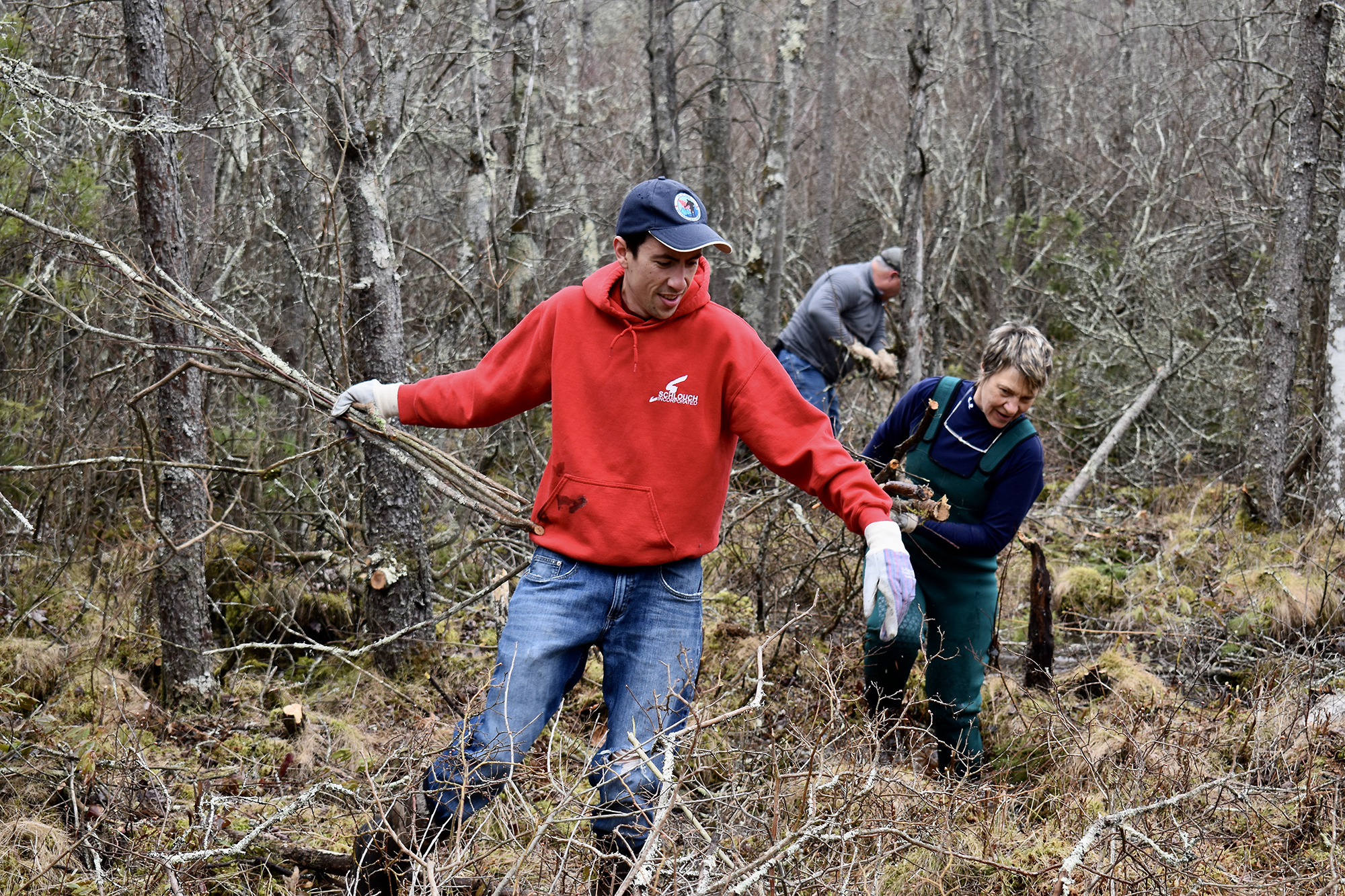 Two people clear brush and small tree branches during a restoration workday at Tannersville Cranberry Bog.