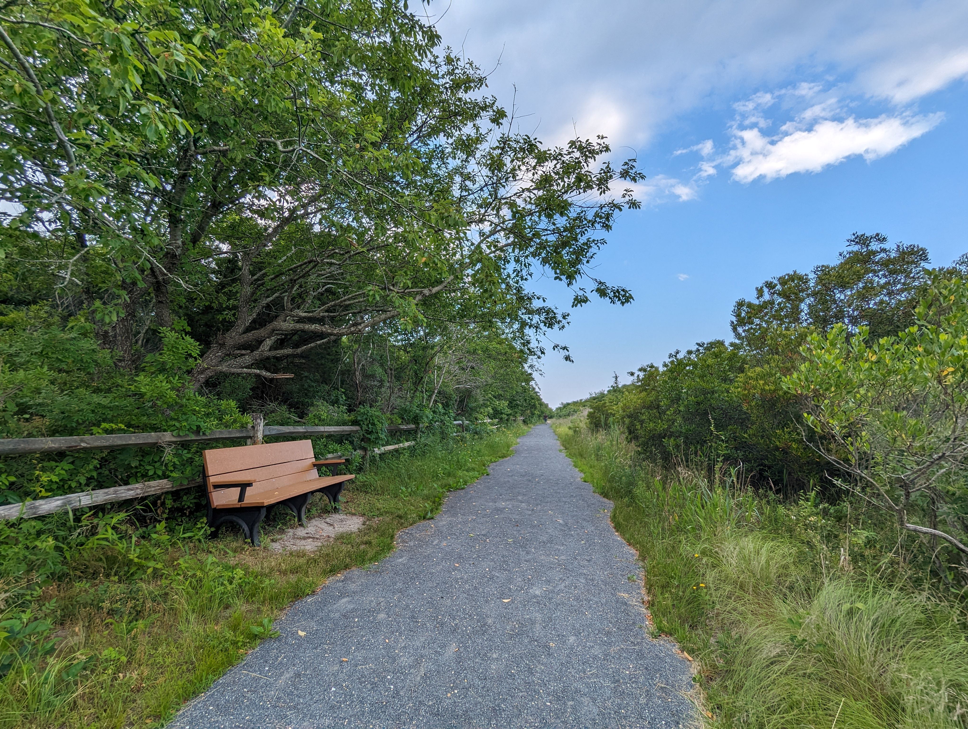 An empty bench is located along a concrete trail.