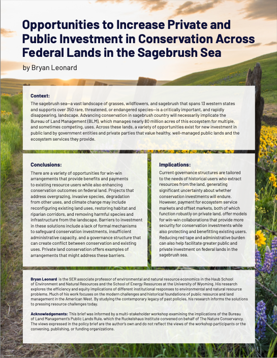 Cover of public lands rule opinion document.