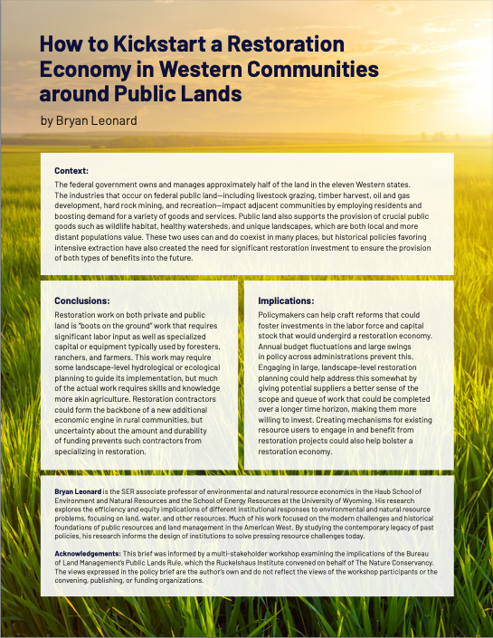 Cover of public lands rule opinion document.