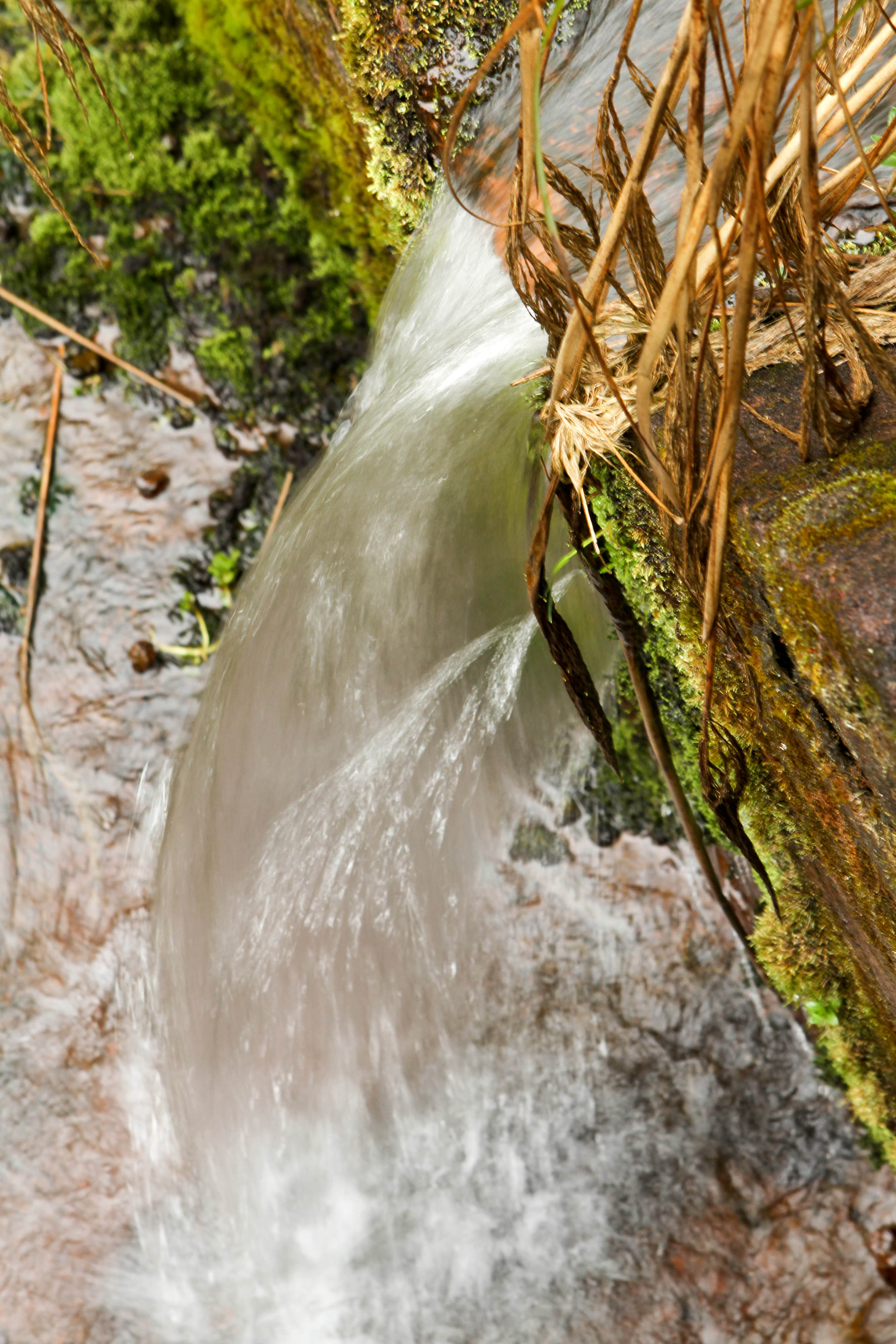 Caída de agua en zona protegida por el Fonag, Fondo de Agua de Quito, en Ecuador.