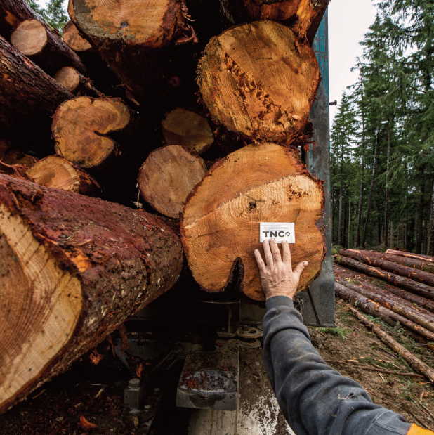 Logging truck driver attaching a TNC ticket to a load of trees at the Ellsworth Creek Preserve.
