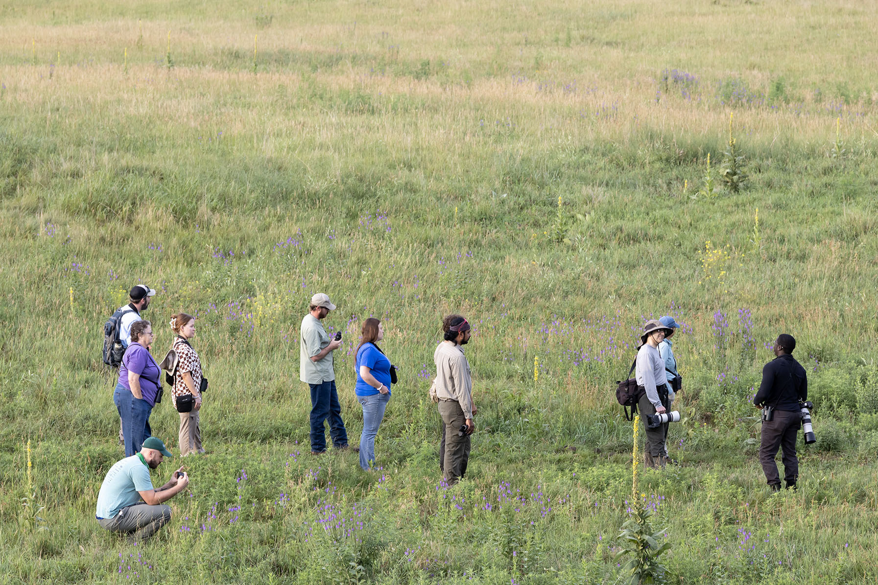 A group of people stand together in a field observing birds.