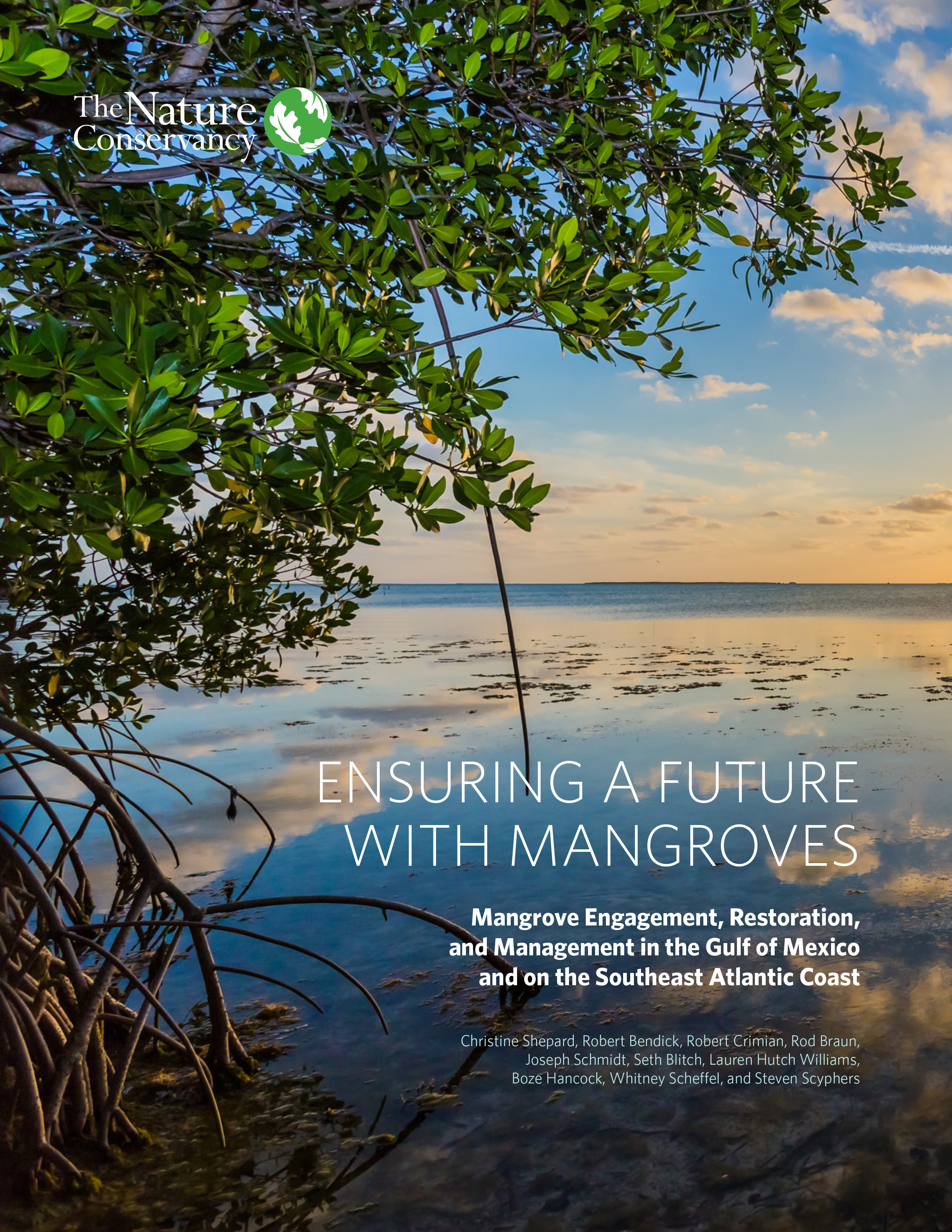 Cover of Ensuring a Future with Mangroves handbook showing a view looking out from a mangrove forest to a large, placid body of water.