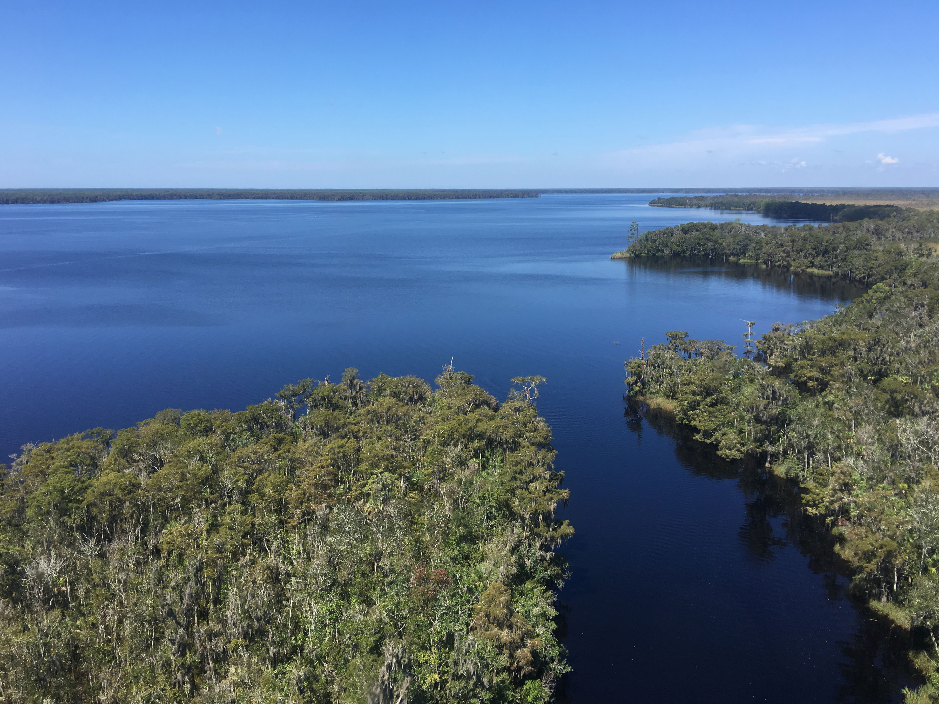 A large blue bay surrounded by protected forest.