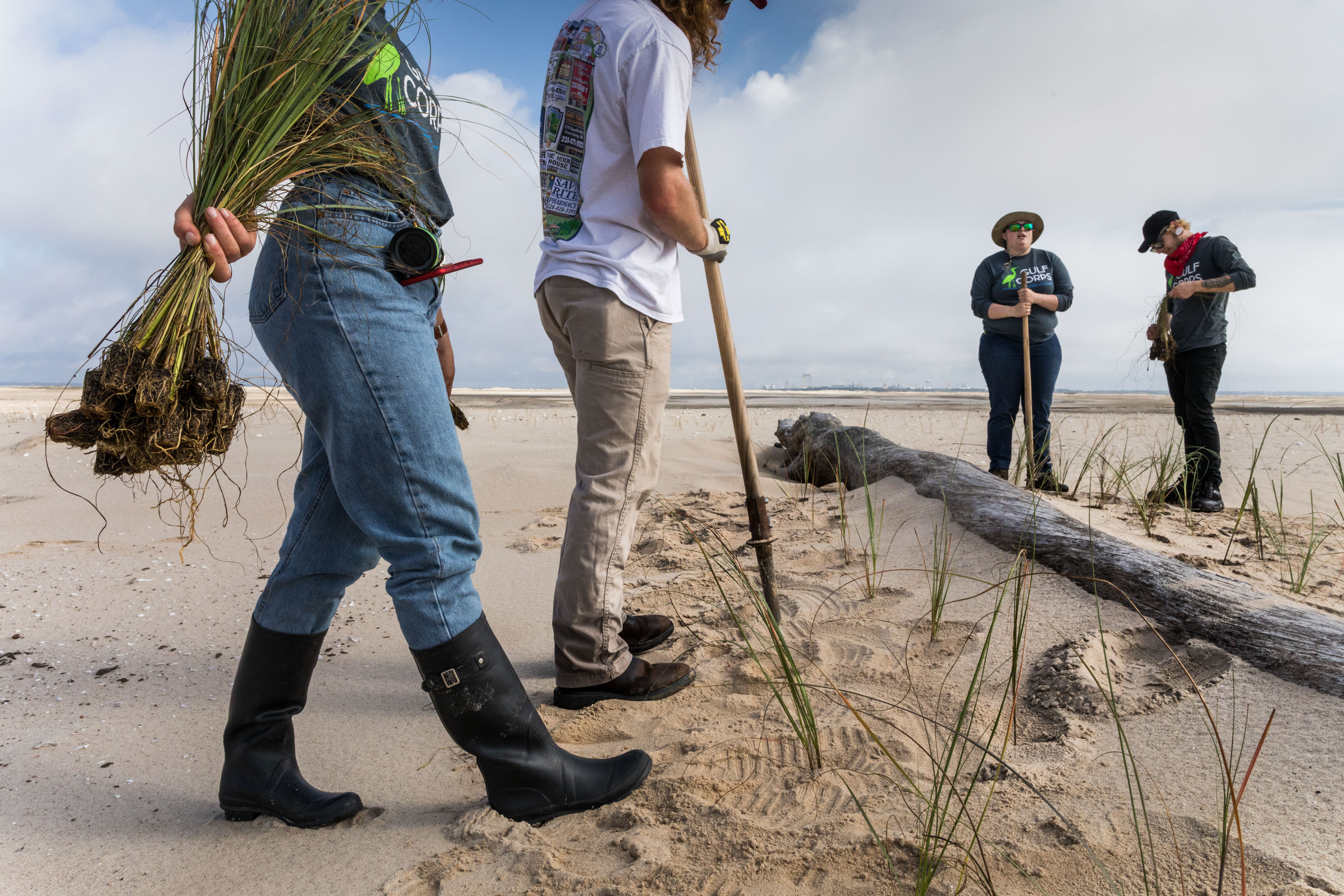 Members of the Conservation Corps on Round Island off Gulfport, Mississippi, planting sea oats, helping to bring life to this manmade island created when the area of dredged. This project is also supported by The Nature Conservancy. Photograph by John Stanmeyer