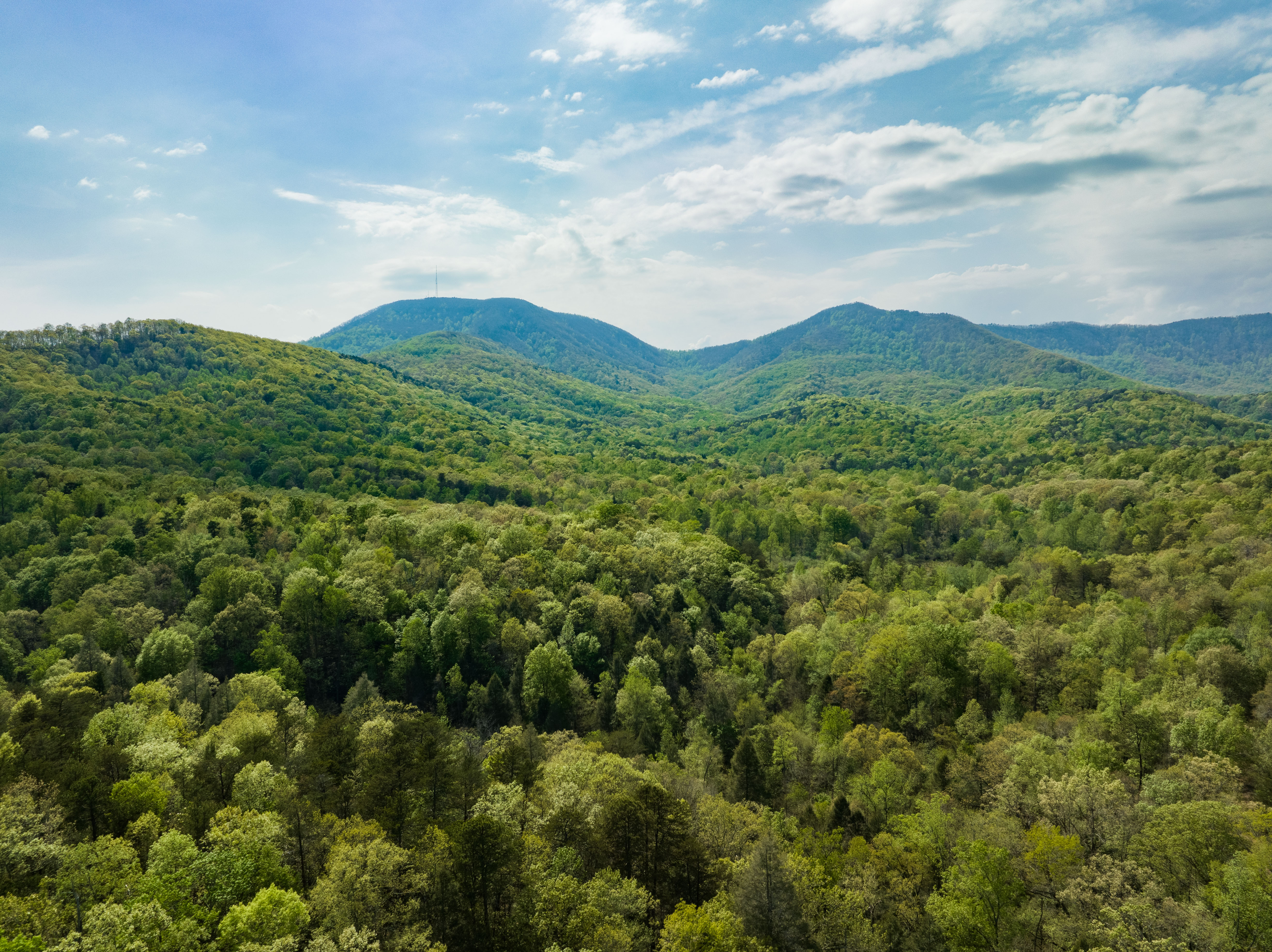 A lush, green forest covers a mountain valley.