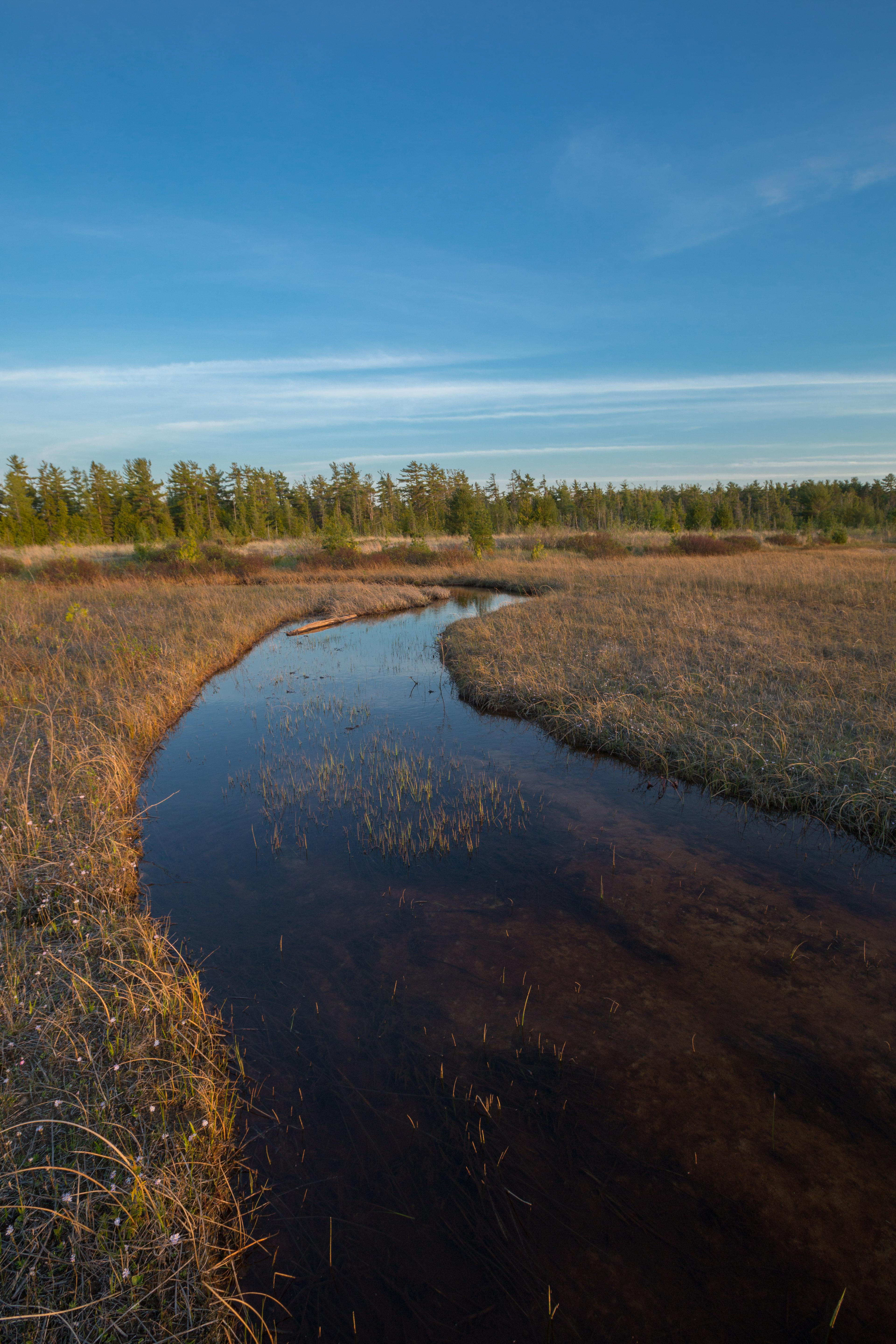 A stream curves through a grassy area.