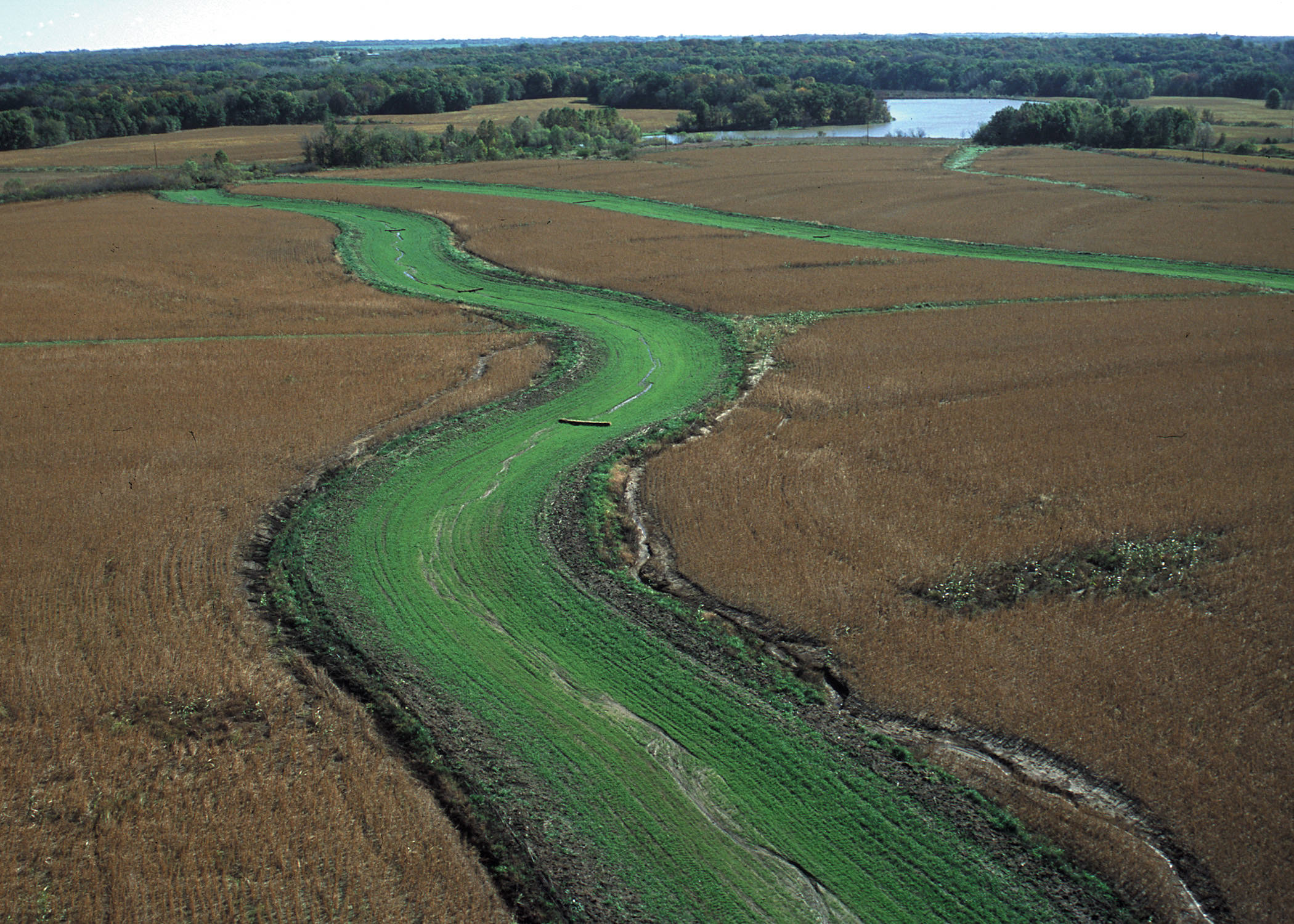 Grassy strip running through farm field.