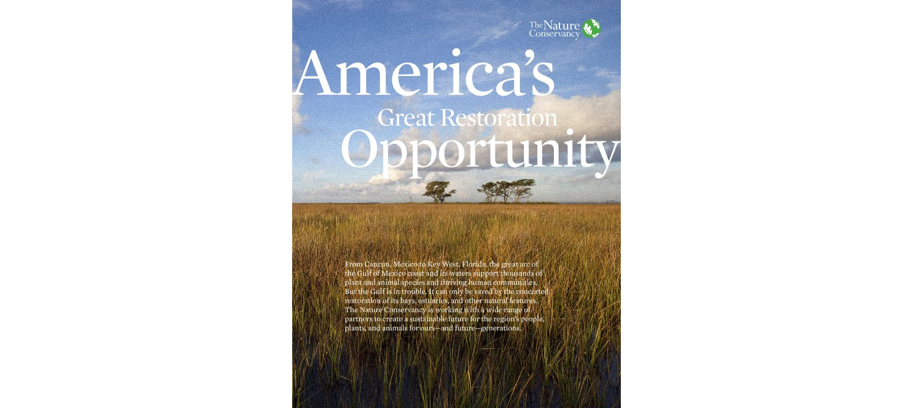 Read more about what we're doing across Texas, Louisiana, Mississippi, Alabama, and Florida to make the most of this once-in-a-lifetime opportunity to restore the Gulf of Mexi