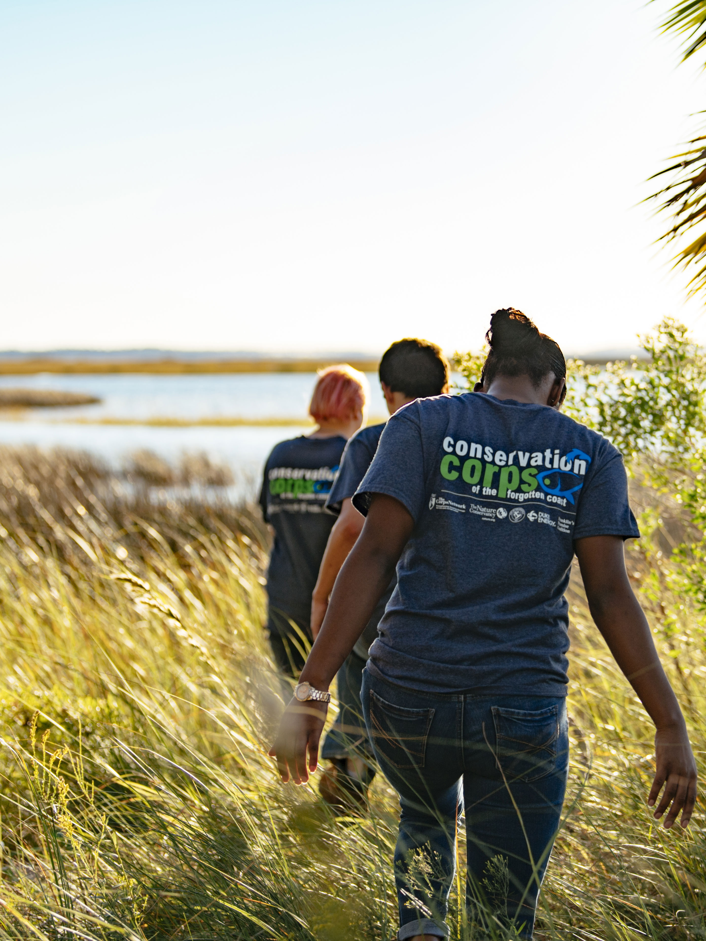 Three people walk through tall grasses towards a wetland.