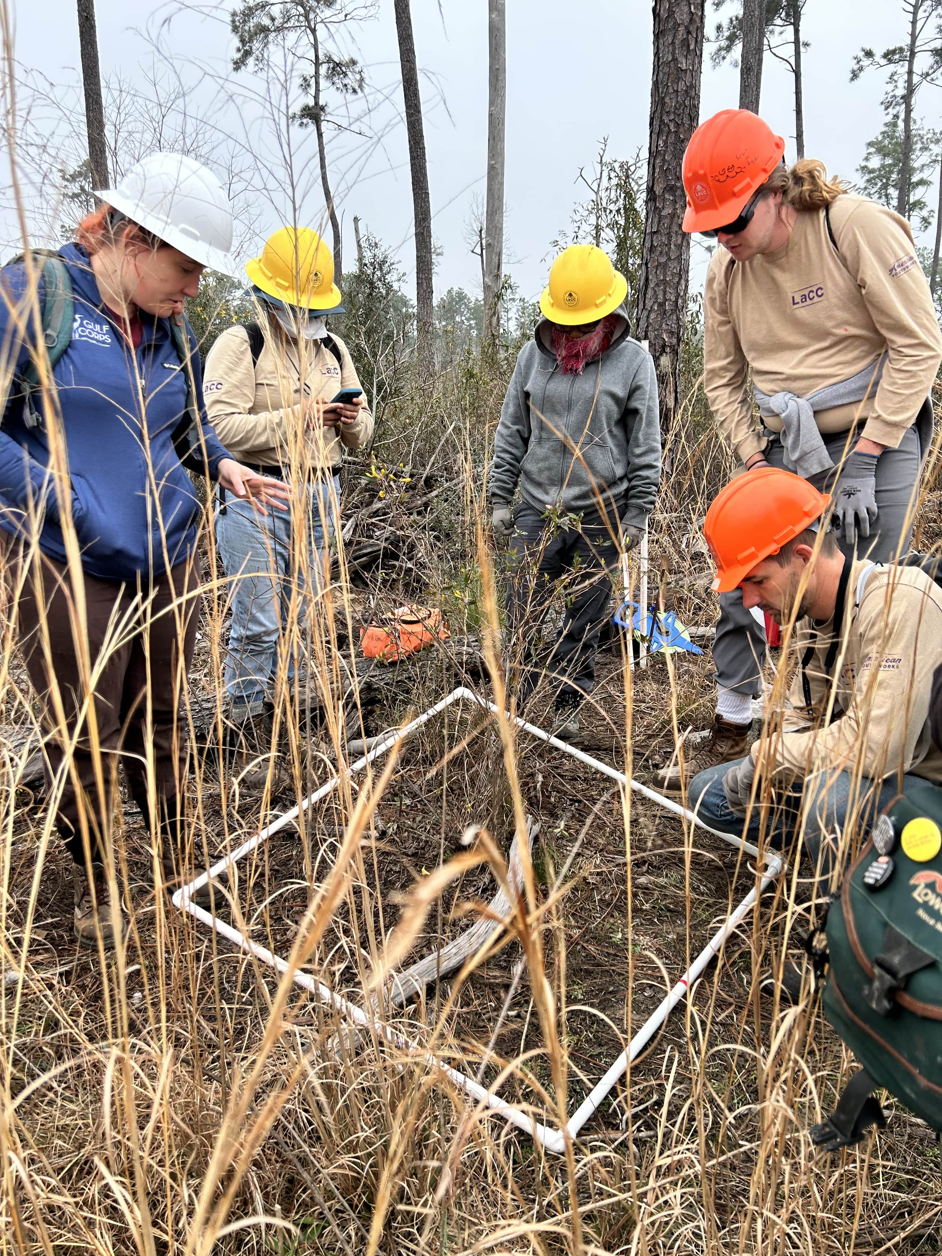 A group of young men and women wearing hard hats measure a portion of a forest.