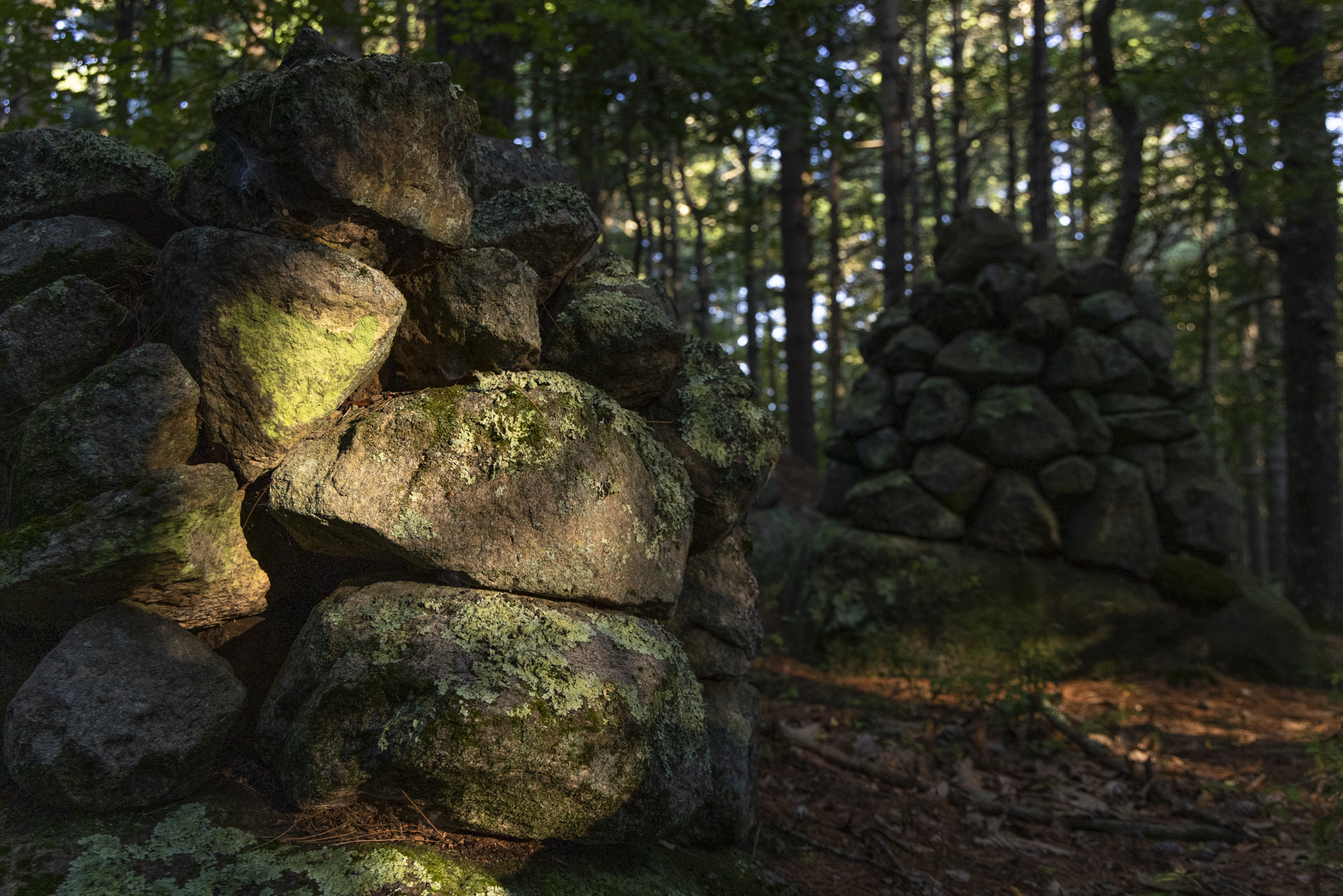 Sunlight touches round, lichen-covered stones, piled to form a large cairn.