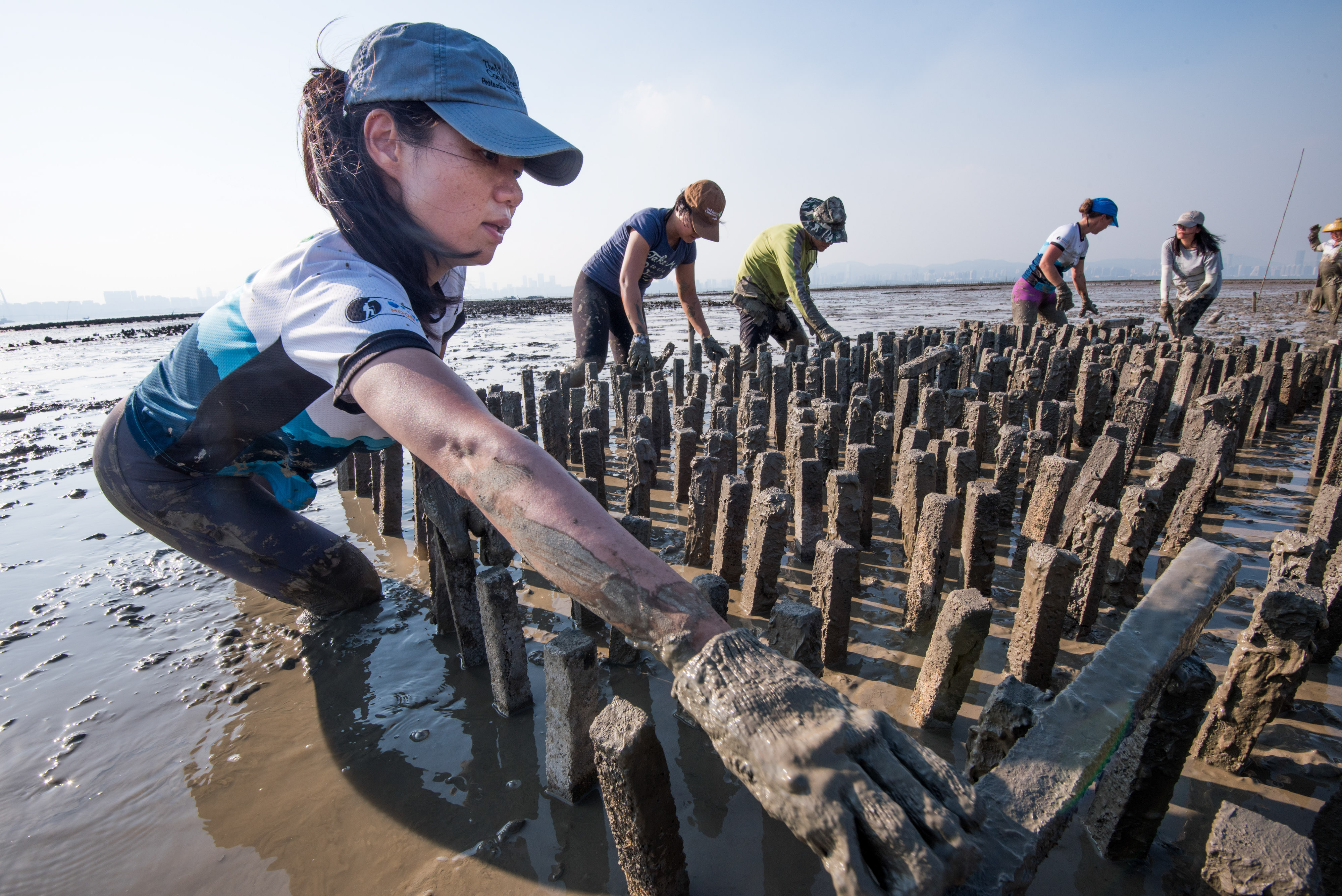 Person supporting oyster reef in Hong Kong. 