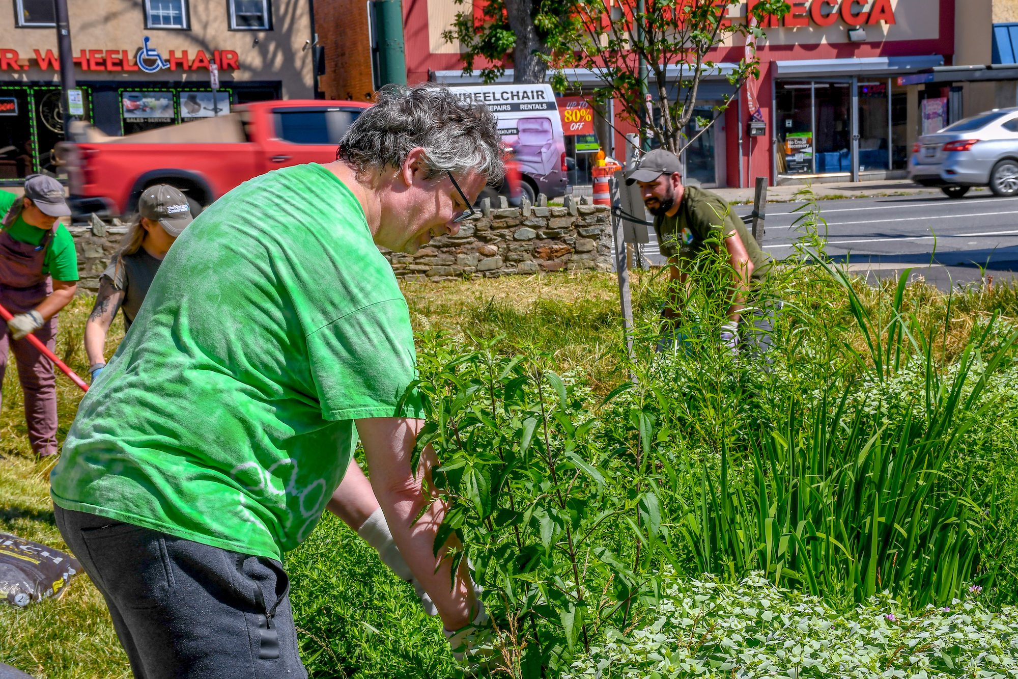 A person leans toward the ground in a rain garden surrounded by tall grasses.