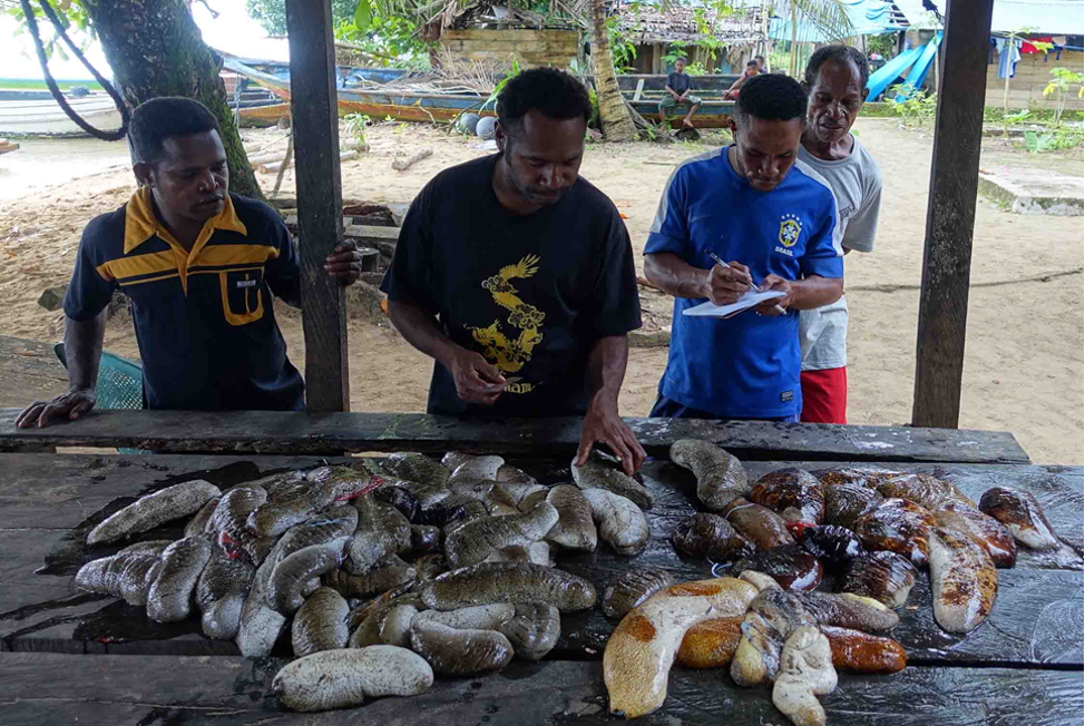 3 men standing over their catch of sea cucumbers.