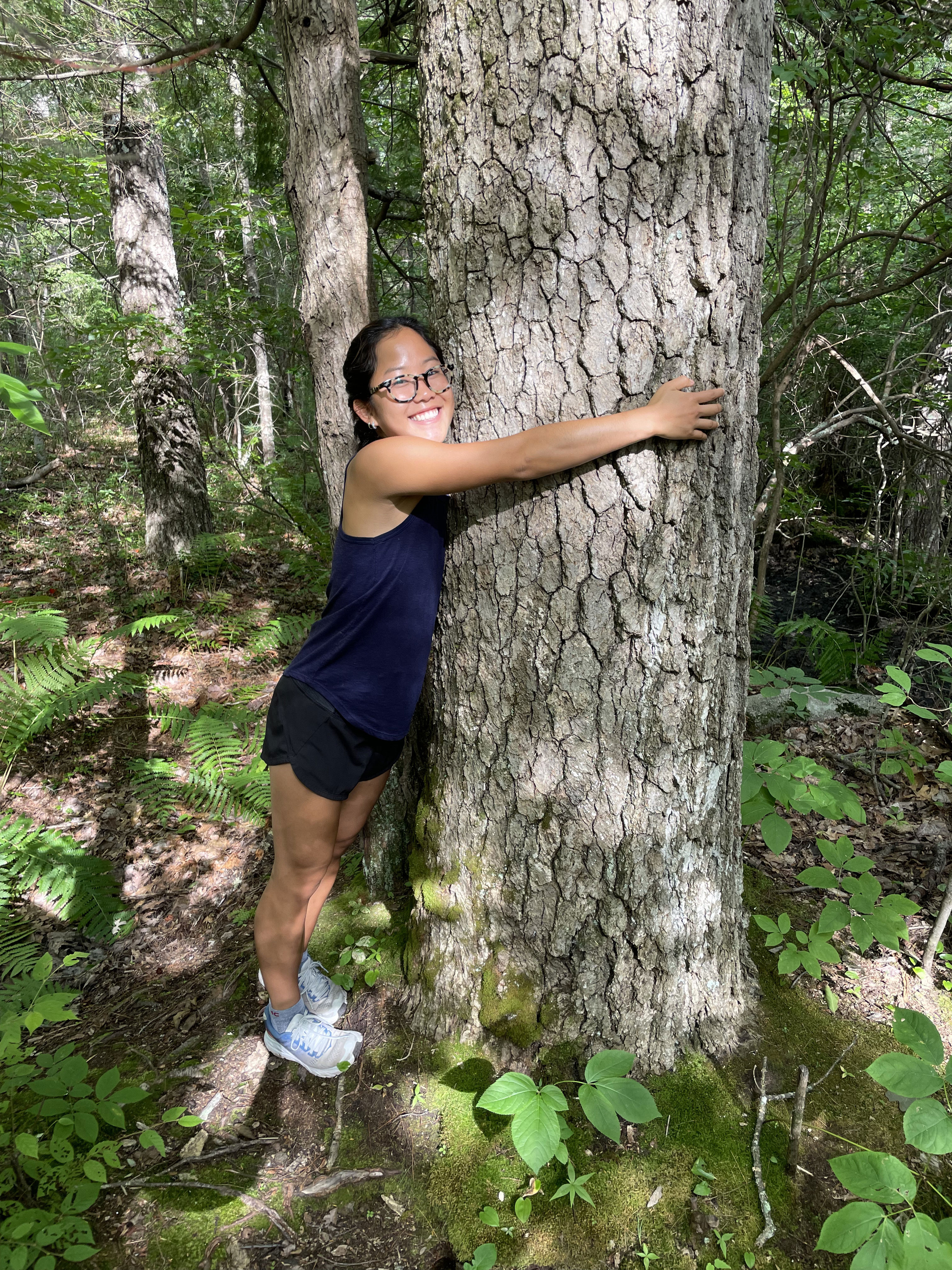 A person hugs a tree.