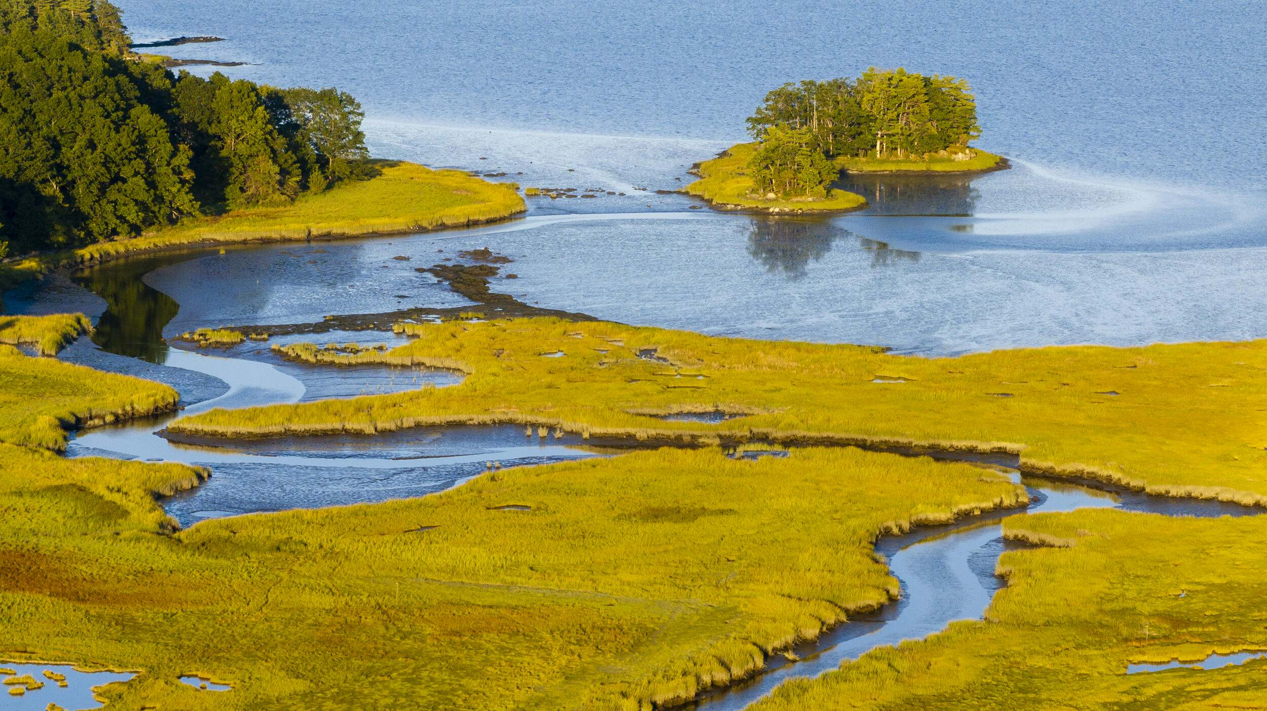 An aerial view of a creek flowing through glowing yellow saltmarsh.