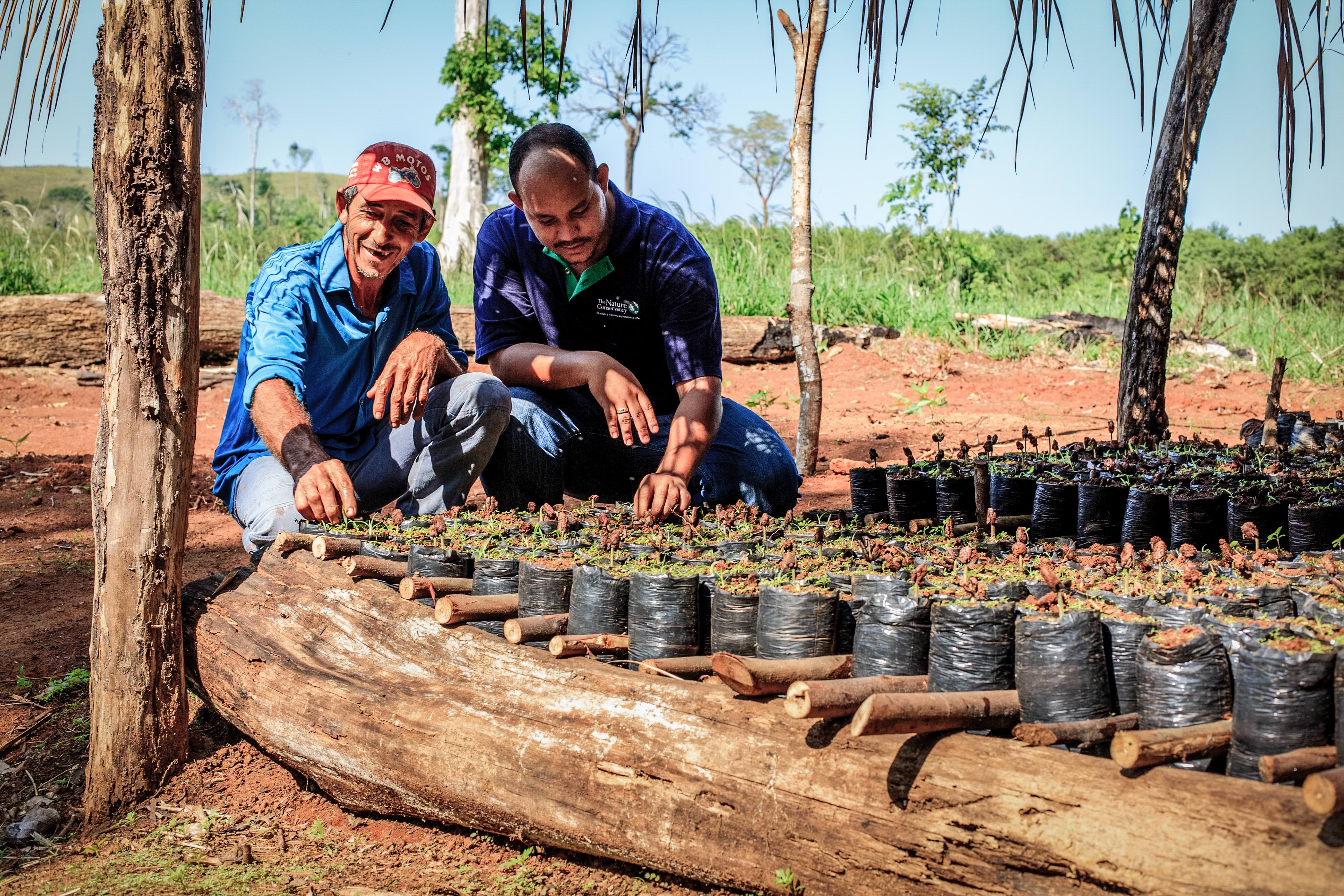 hombres trabajan en el campo