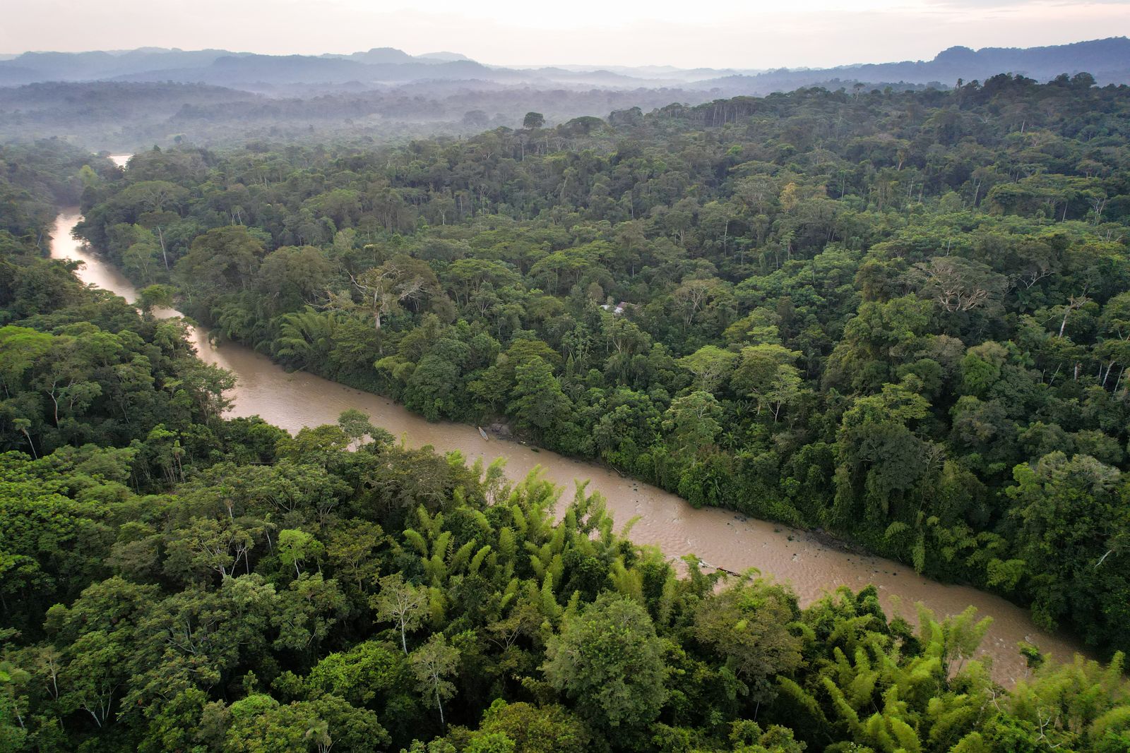 Una vista de la selva amazónica y un rio en Ecuador.