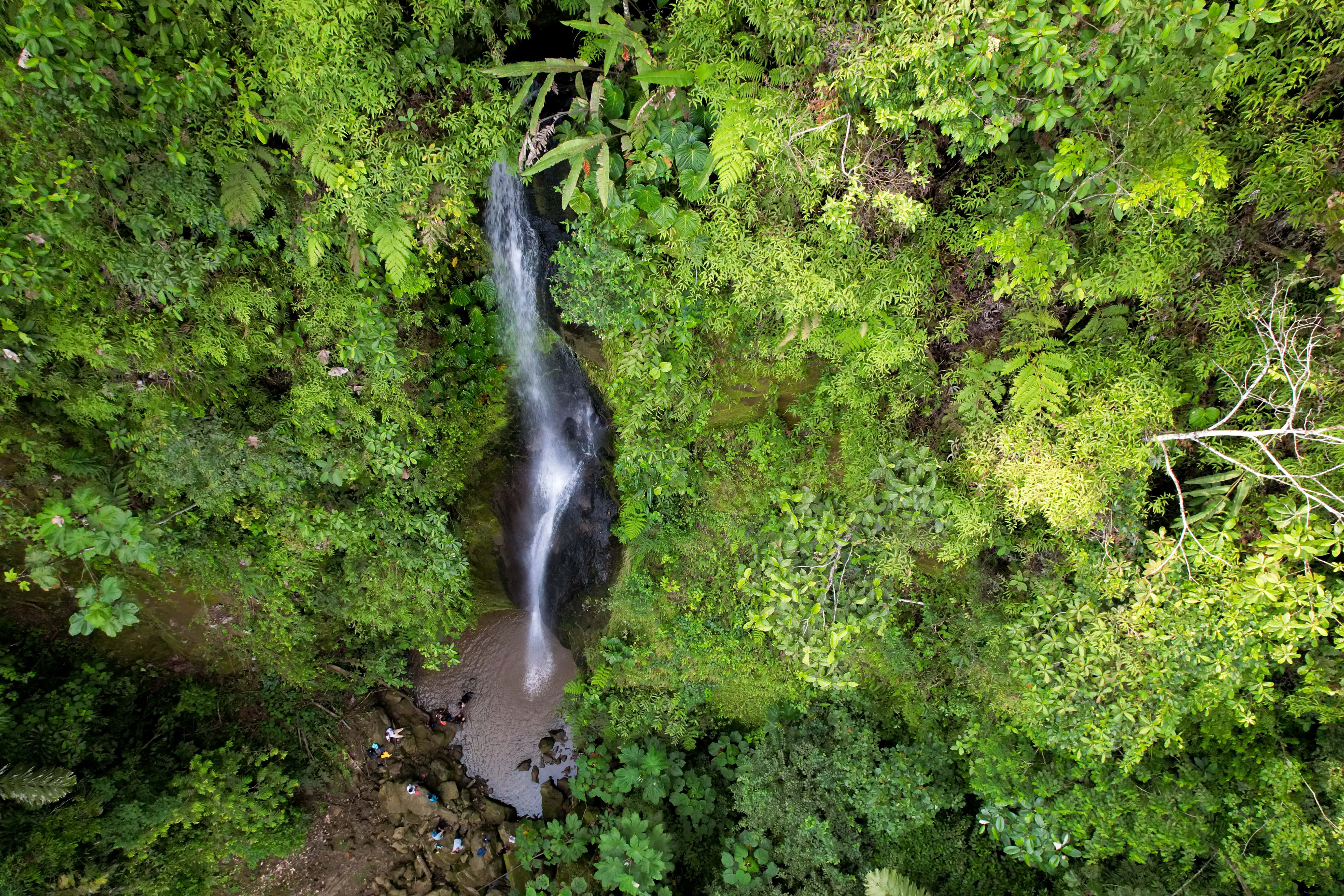 Vista aereal de una cascada en medio de ramas y arboles.