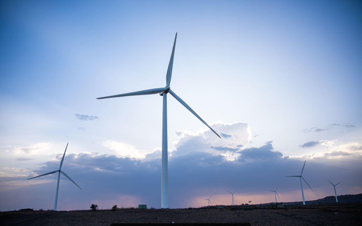 Vista de paneles eólicos con el cielo en el fondo.