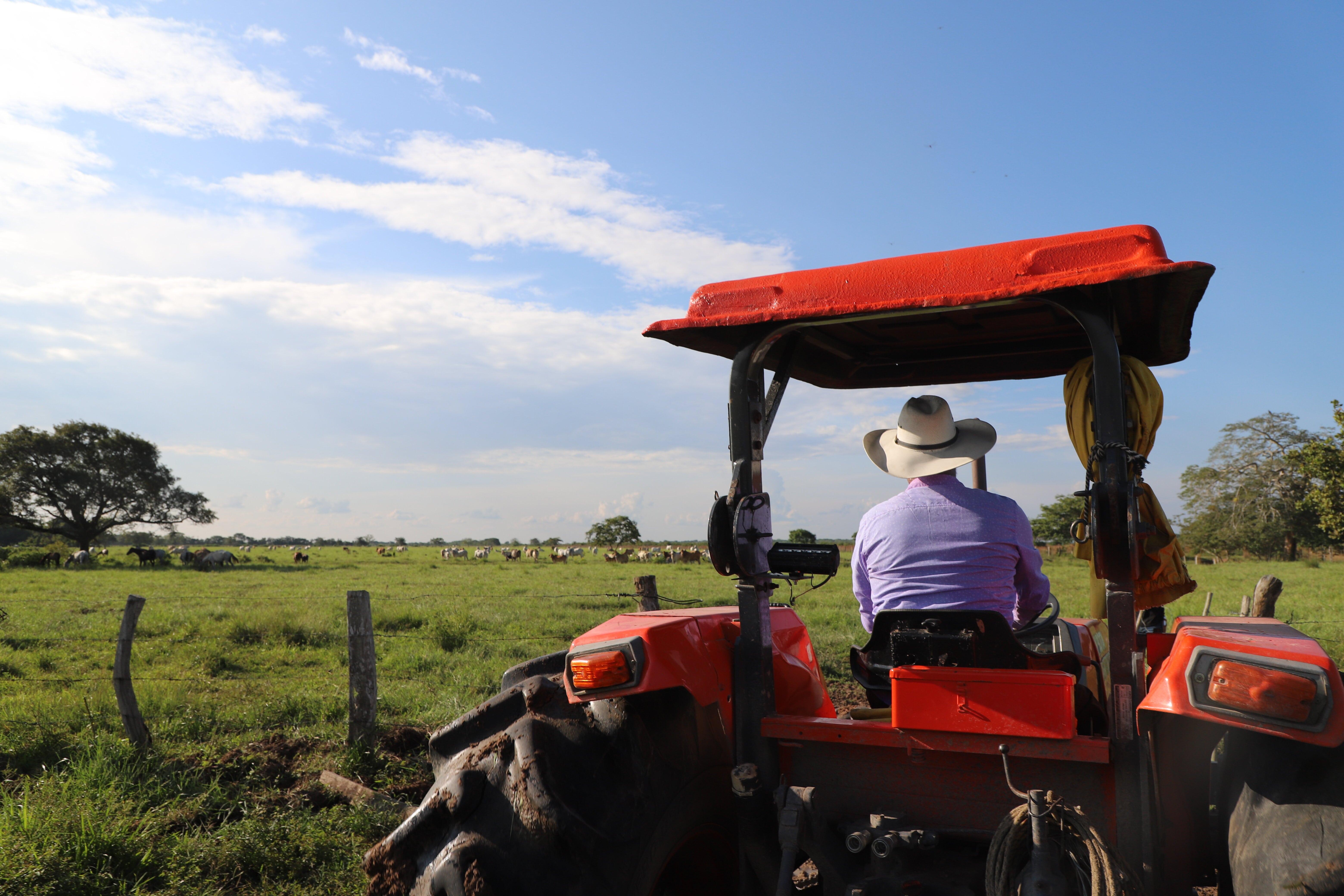 representa actualmente el 20% de la oferta de productos agrícolas y del hato ganadero.