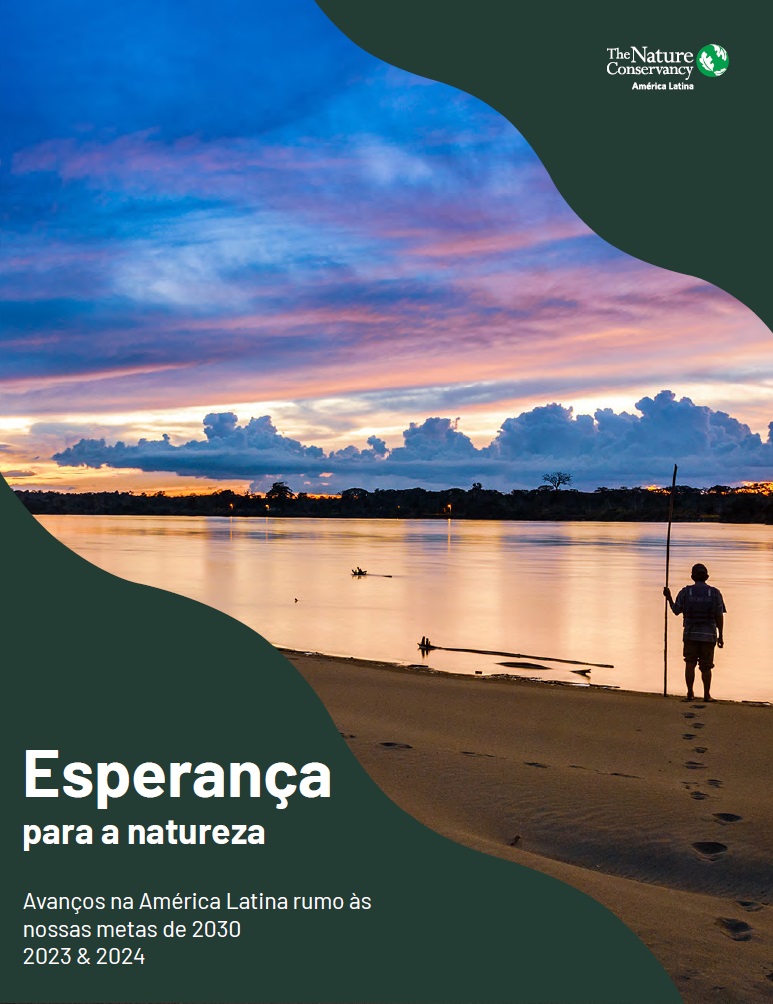 Capa do relatório em português.