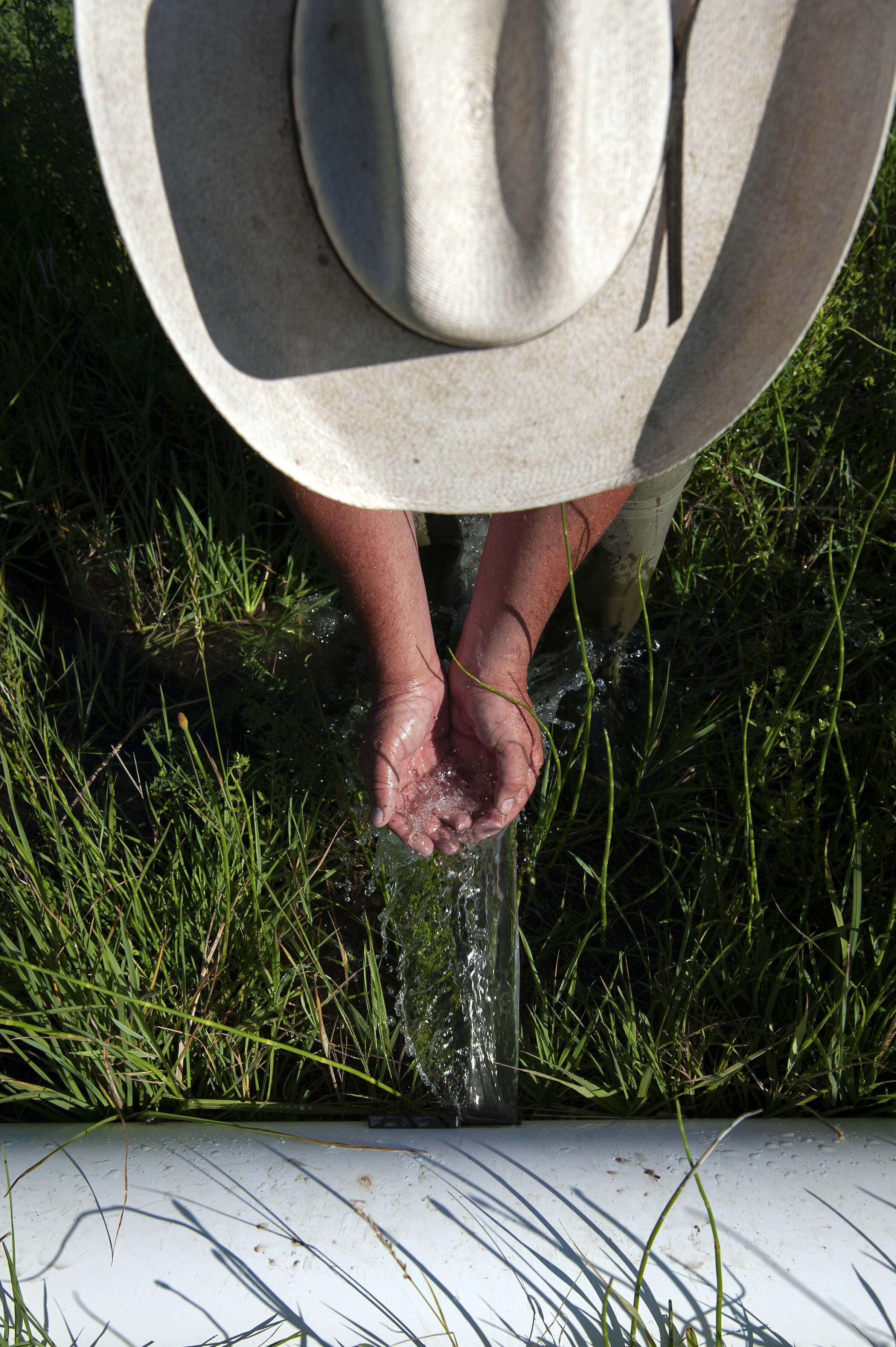 A photo from above a farmer water runs over his hands.