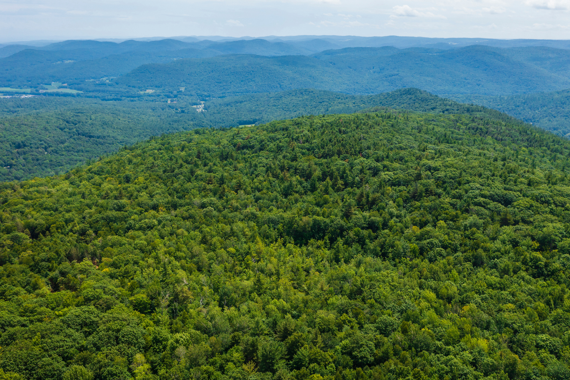 Aerial view of forested mountains in Western Massachusetts.