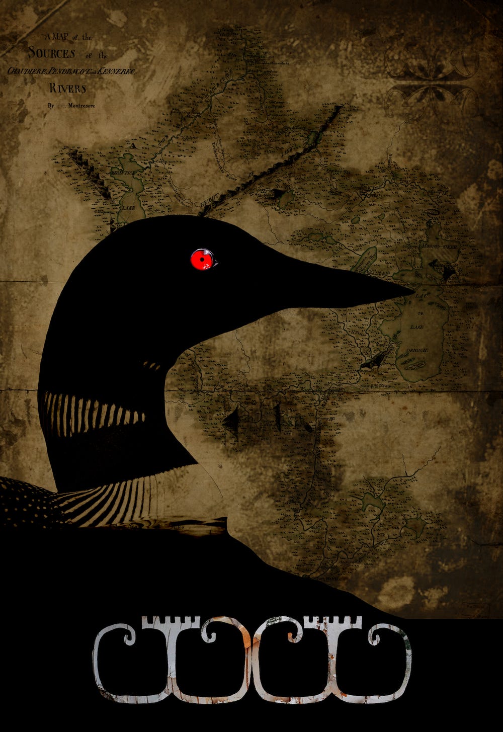 A painting of a black headed bird with a red eye shown in profile.