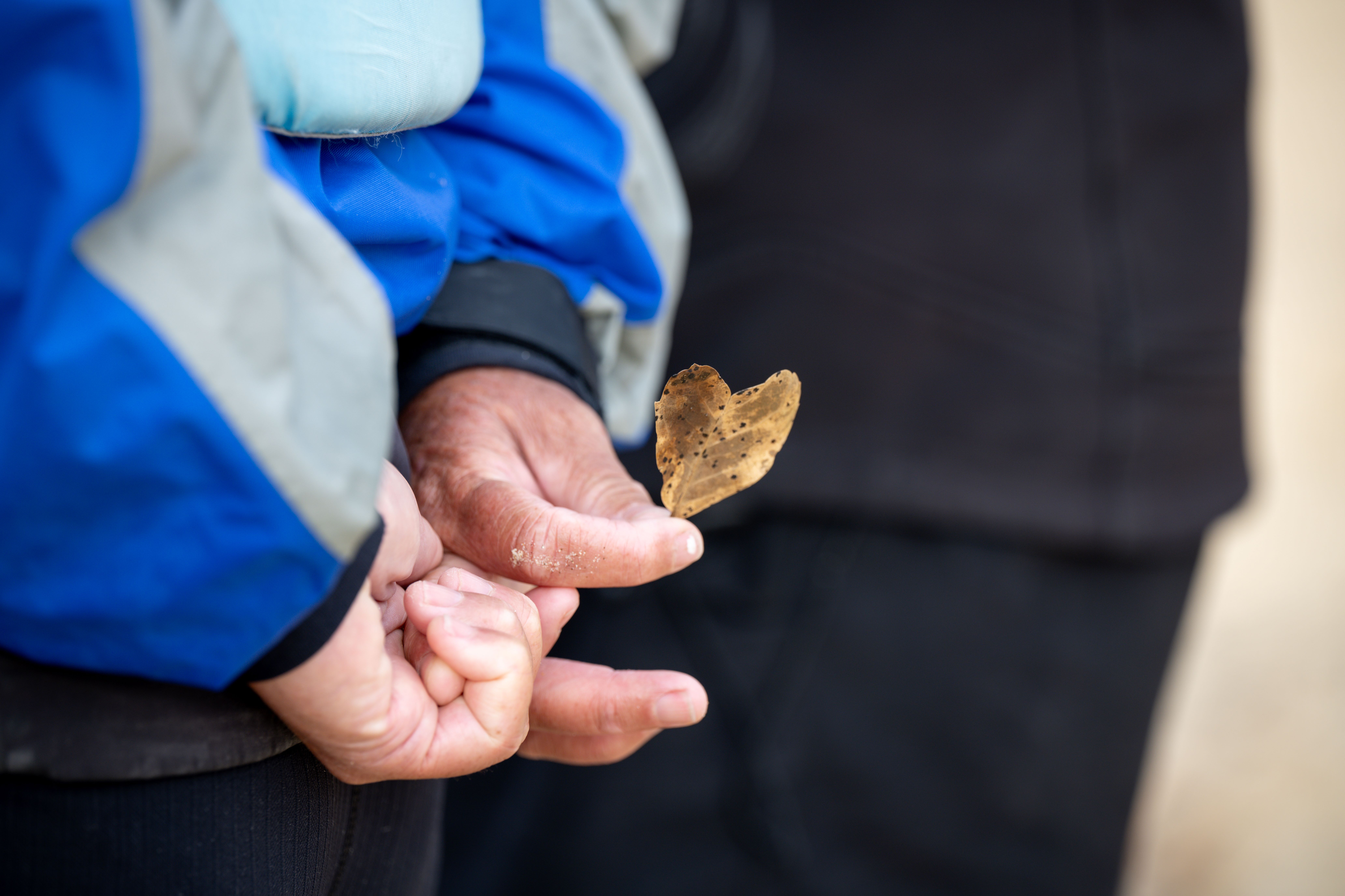 Two hands hold a heart-shaped leaf behind their back.