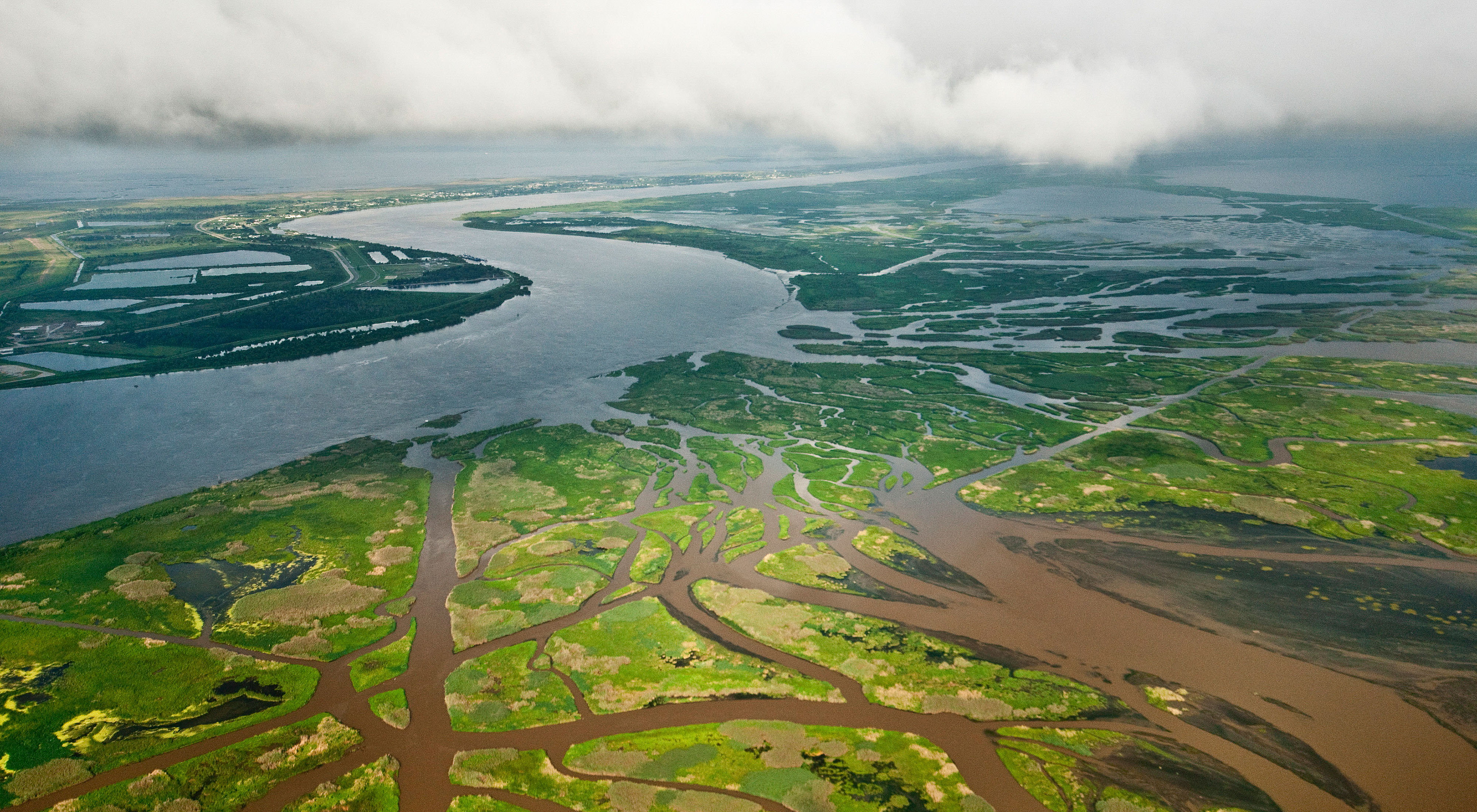 Water flows through a surrounding wetland area.