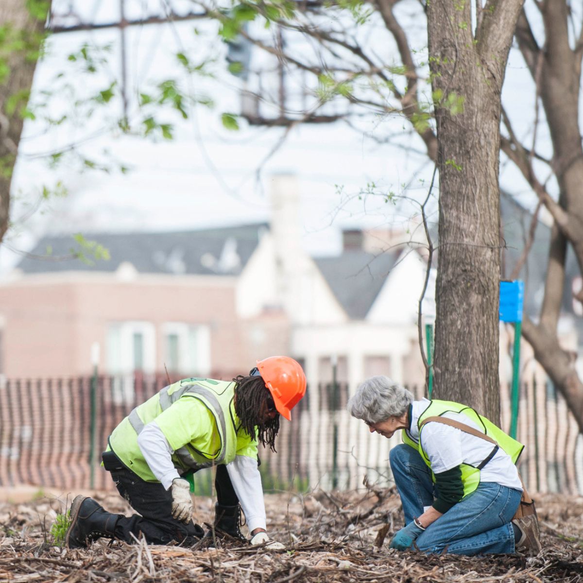 Two people kneel on a ground covered in twigs.